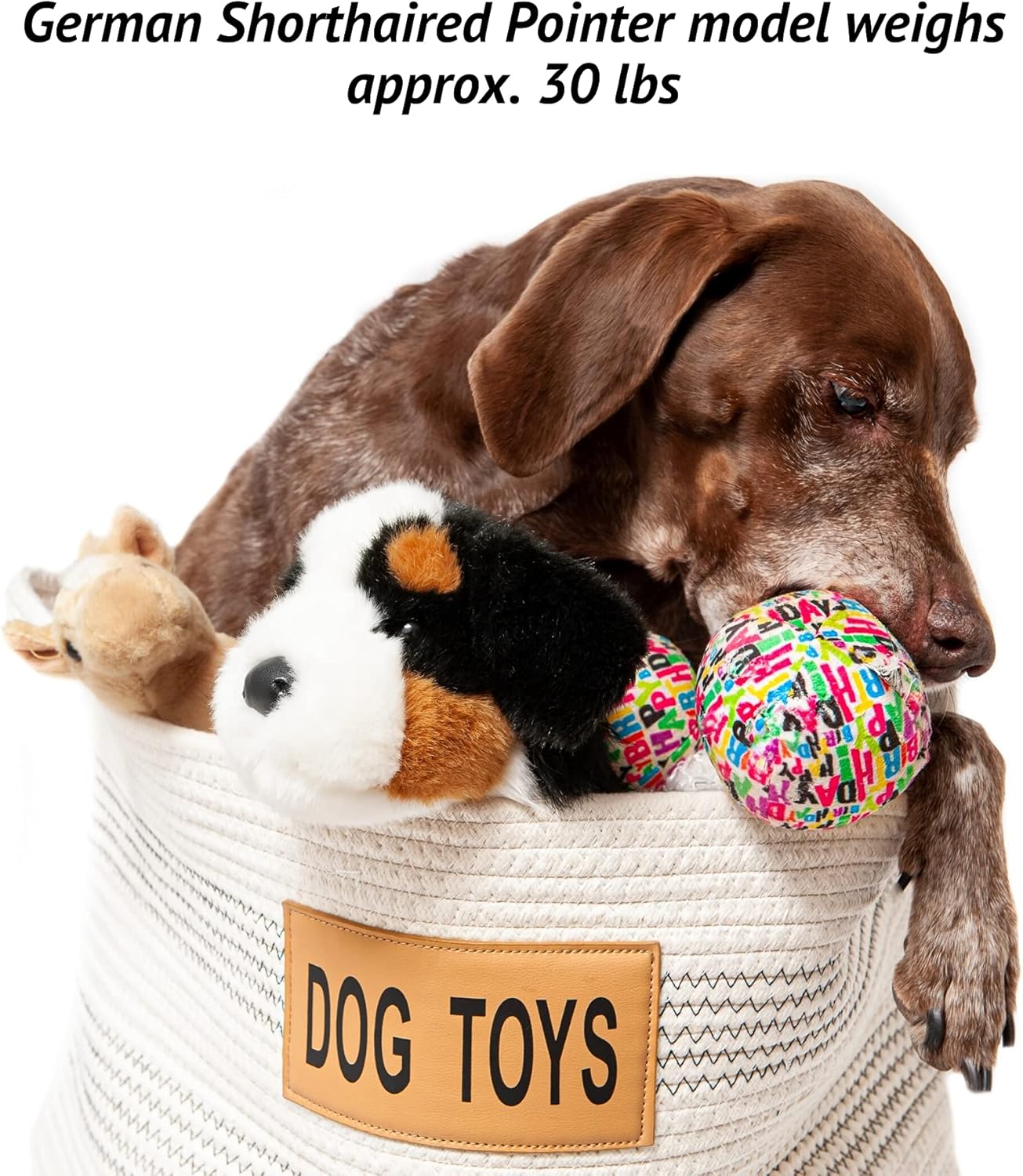 Midlee Dog Toy Rope Cotton Basket (X-Large)