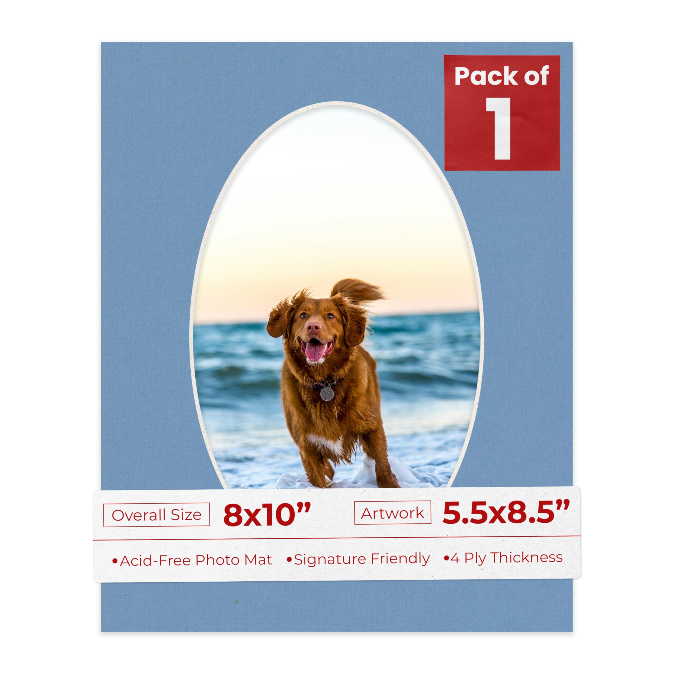 8x10 Mat Bevel Cut for 5.5x8.5 Photos - Precut Brittany Blue Oval Shaped Photo Mat Board Opening - Acid Free Matte to Protect Your Pictures - Bevel Cut for Family Photos, Pack of 1 Matboard-picture-16