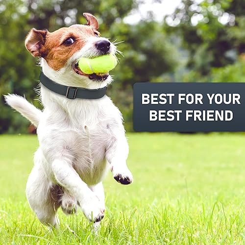 Miniatura 9 de NexaPaw Biothane - Collar de perro con hebilla de cobra de liberación rápida, fabricado en Estados Unidos, collares ajustables y resistentes para