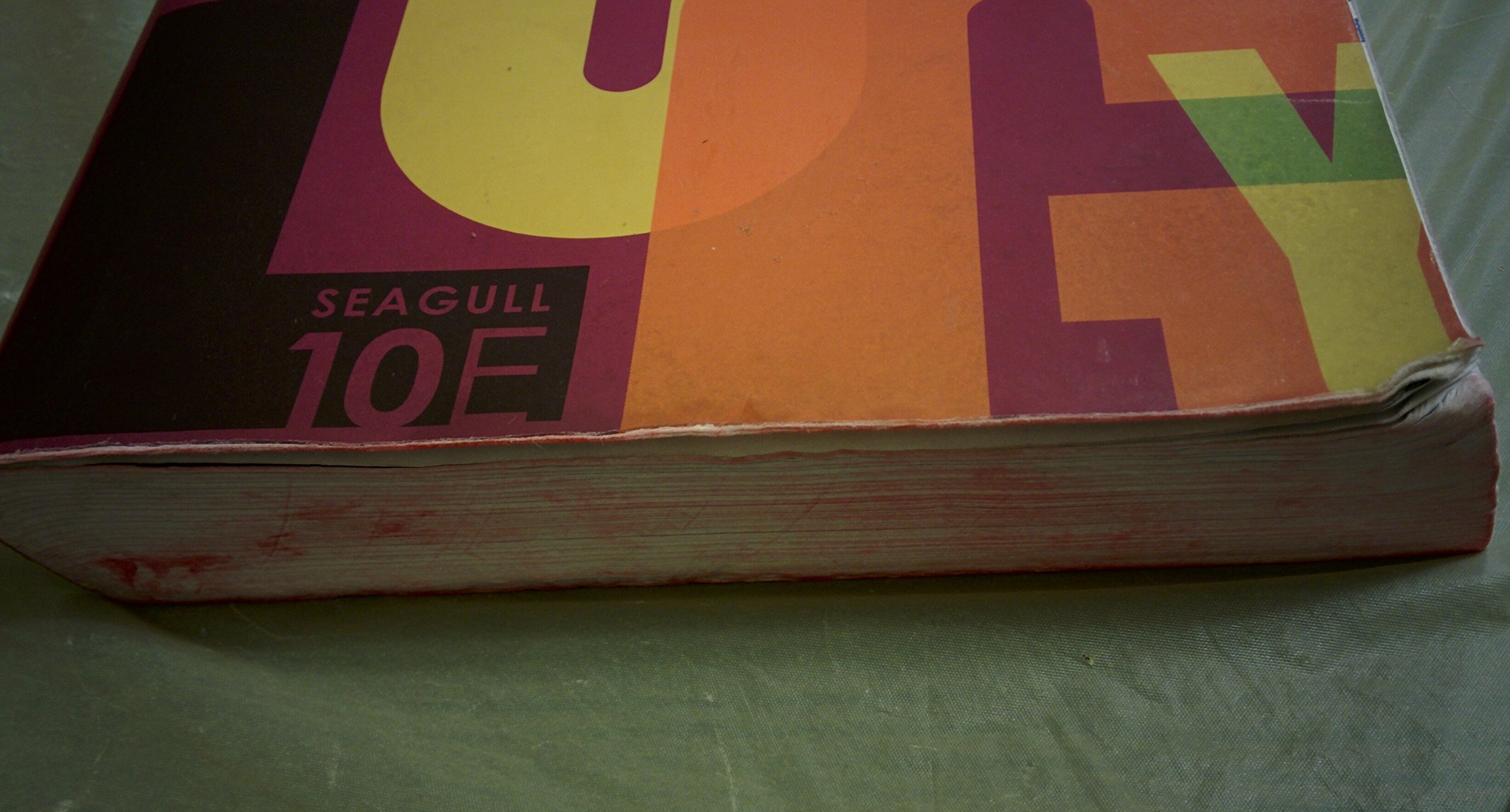 Introduction to Sociology (Seagull Tenth Edition) - Image 2