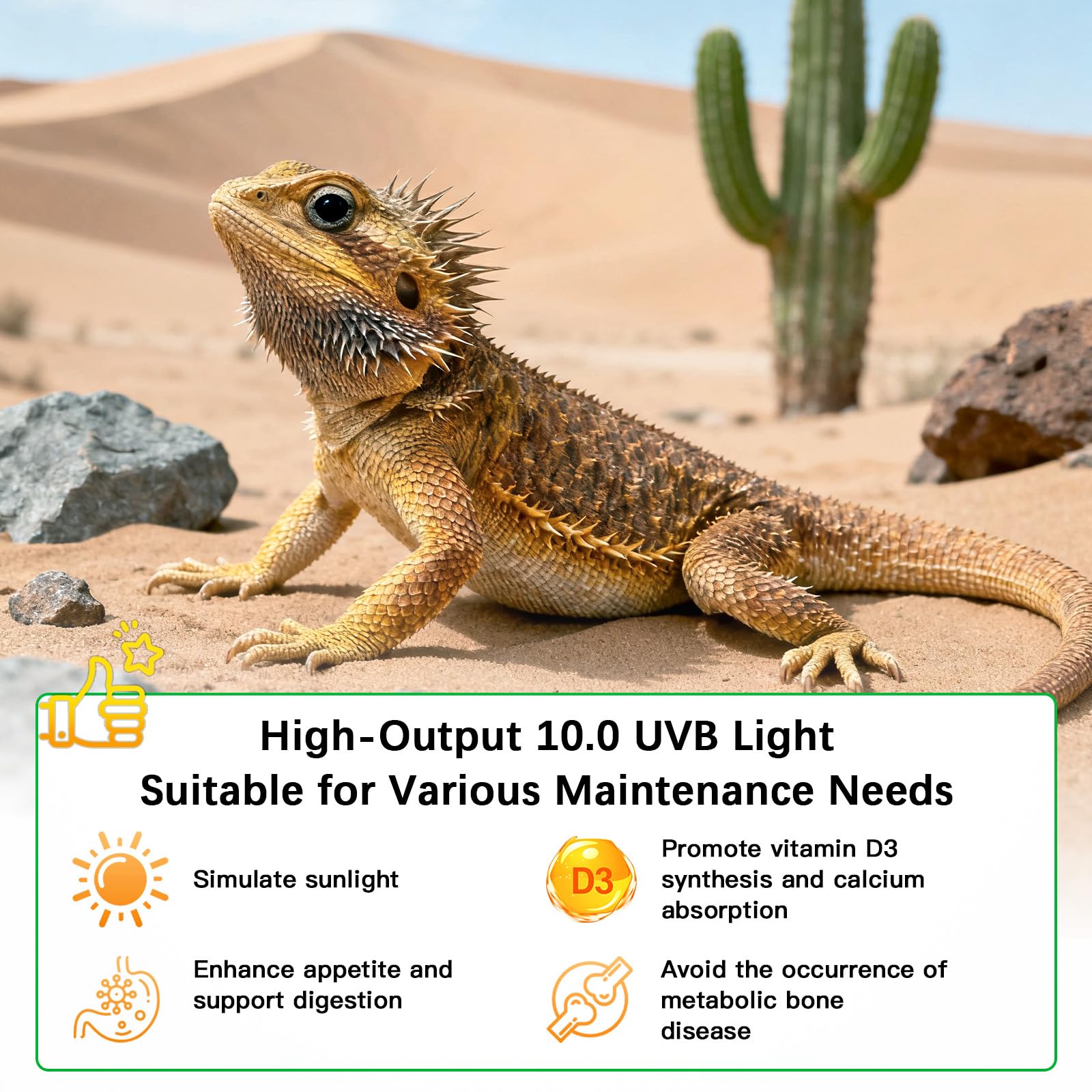T8 UVB Reptile Light Fixture HO UVB Bulb Lighting Combo Kit, 10.0 UVB Light for Reptiles Terrarium Hood UVA UVB Desert Lamp for Bearded Dragon Turtle Tank (T8 15W 18Inch) - image 2