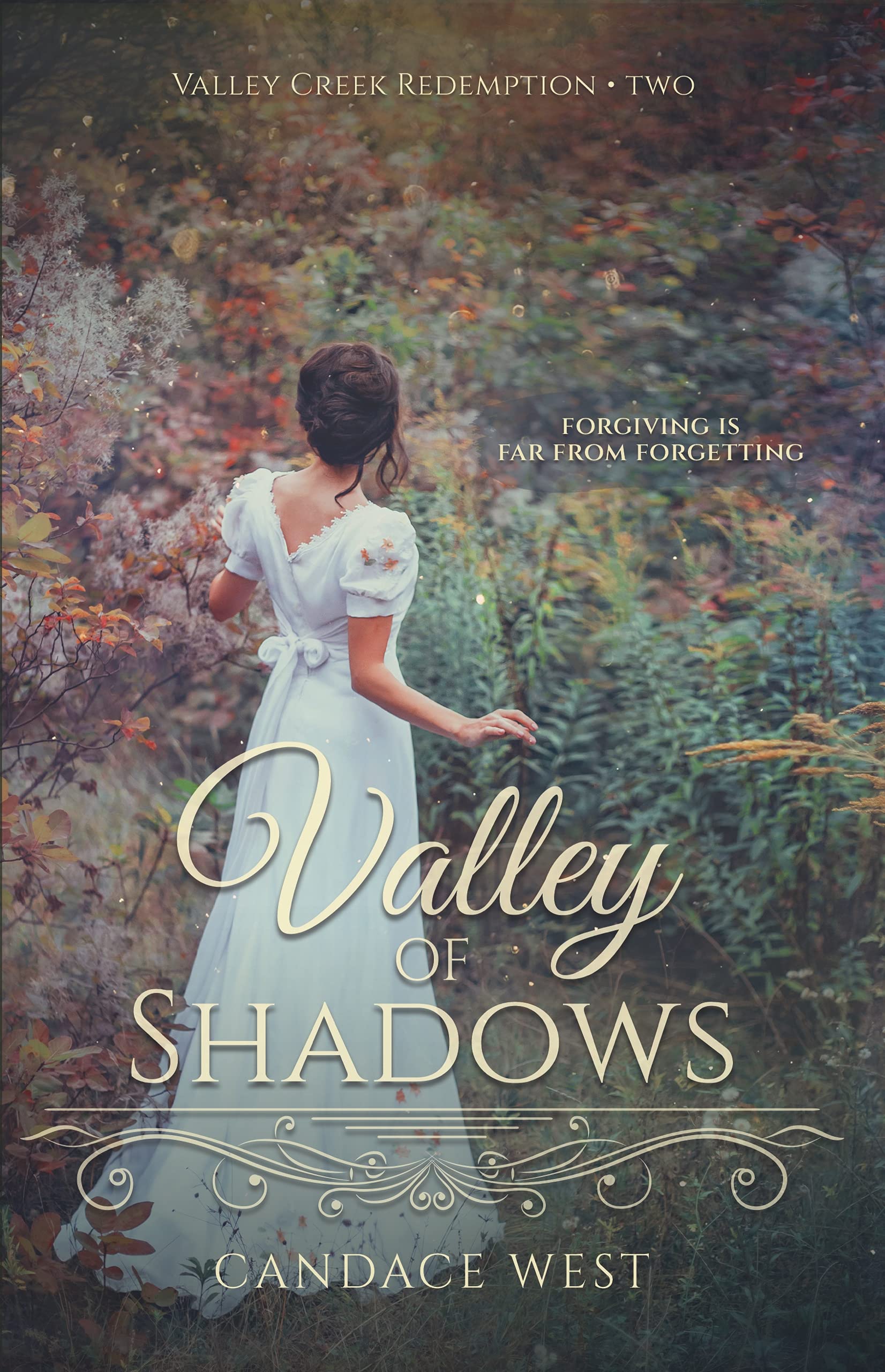 Valley of Shadows (Valley Creek Redemption Book 2)