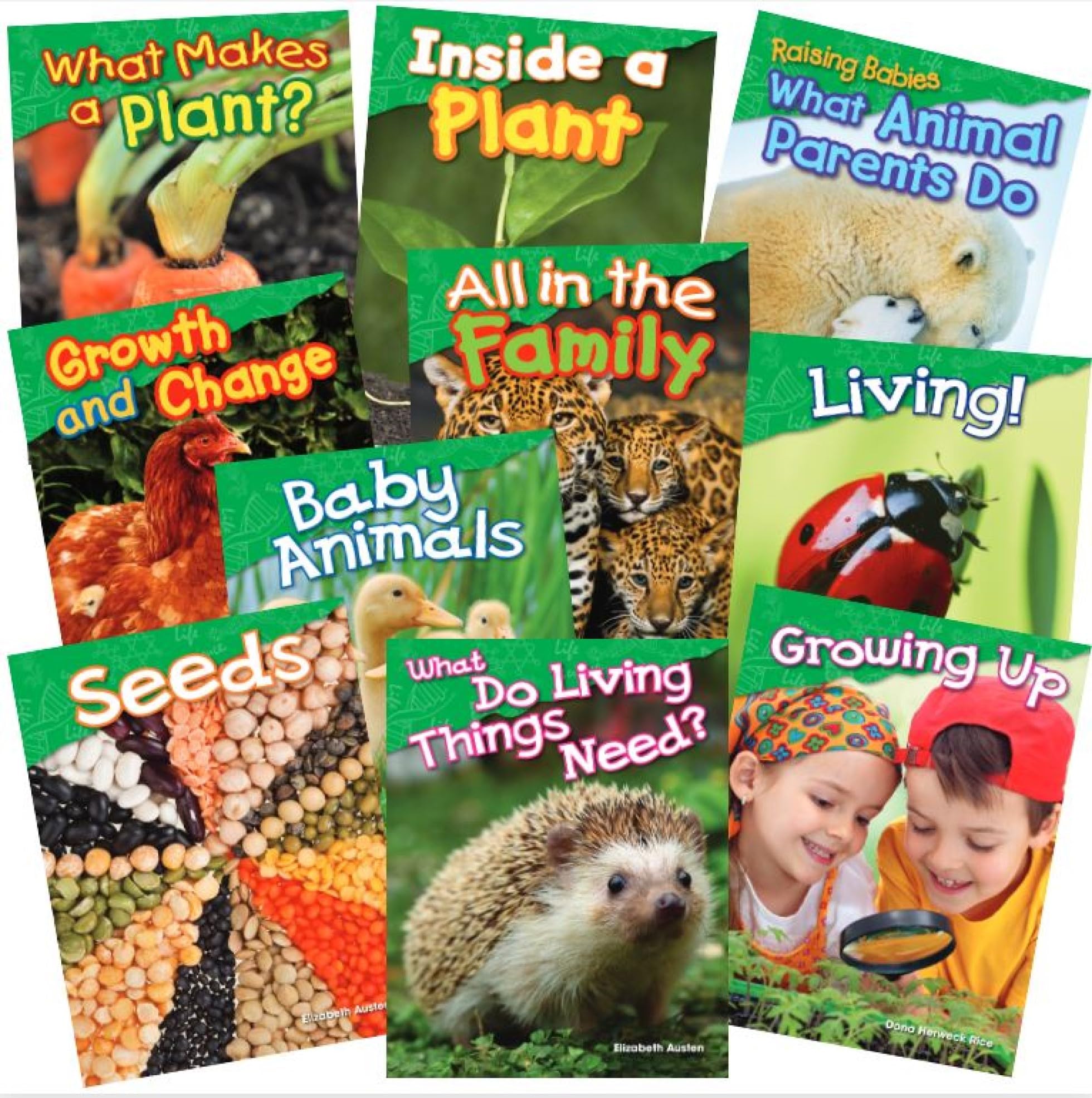 Let's Explore Life Science Grades K-1, 10-Book Set (Science Readers)
