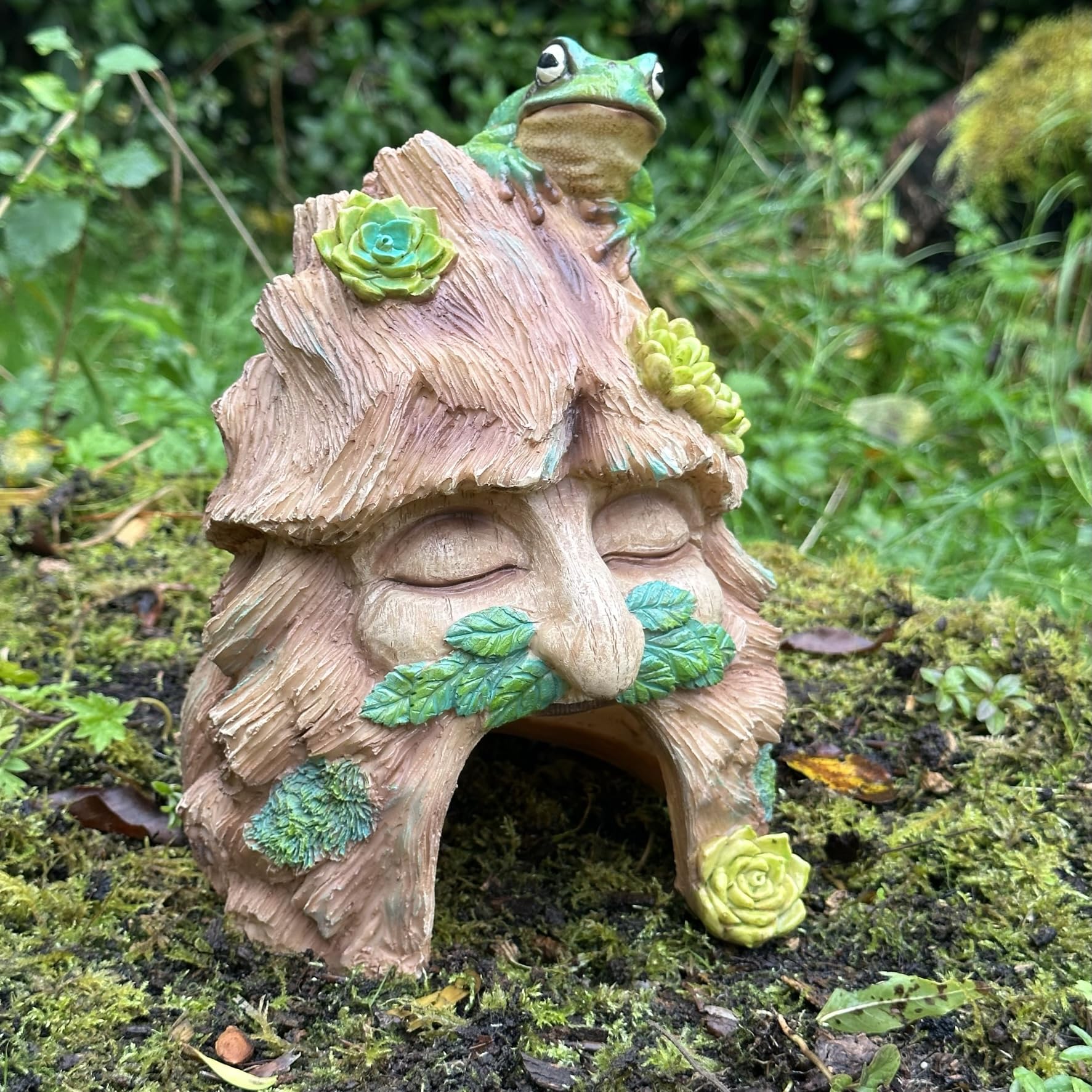 Animal Crackers Frog Toad House, face in old tree stump design with frog decoration, provides shelter to frogs and other wildlife, a great novelty frog or wildlife lover gift