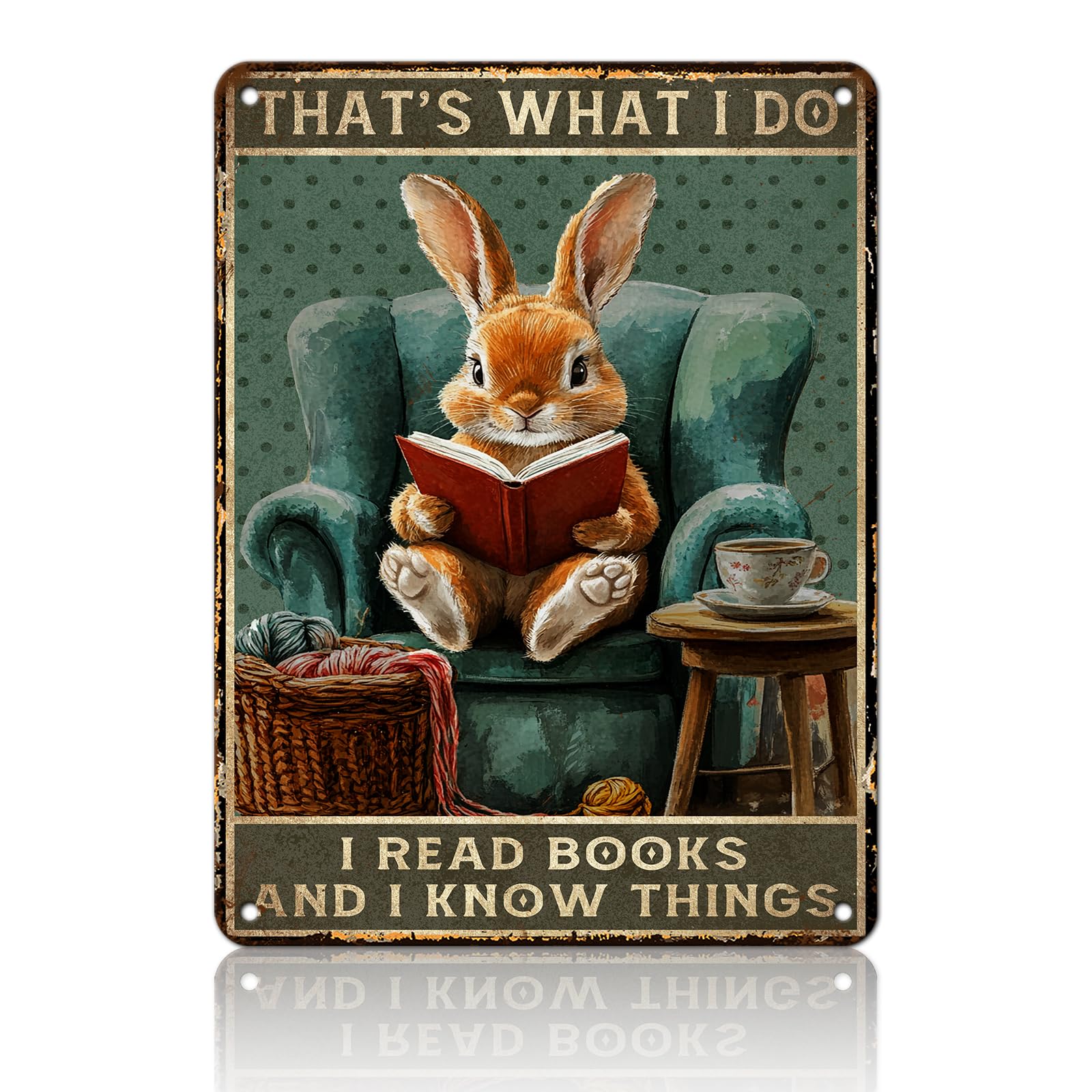 Anceky I Read Books and I Know Things Reading Books Metal Sign Funny Tin Sign Wall Decor for Farmhouse Kitchen Home Yard Cafe 12×16 Inch