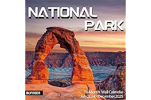 Fender Electric Guitar Calendar 2024