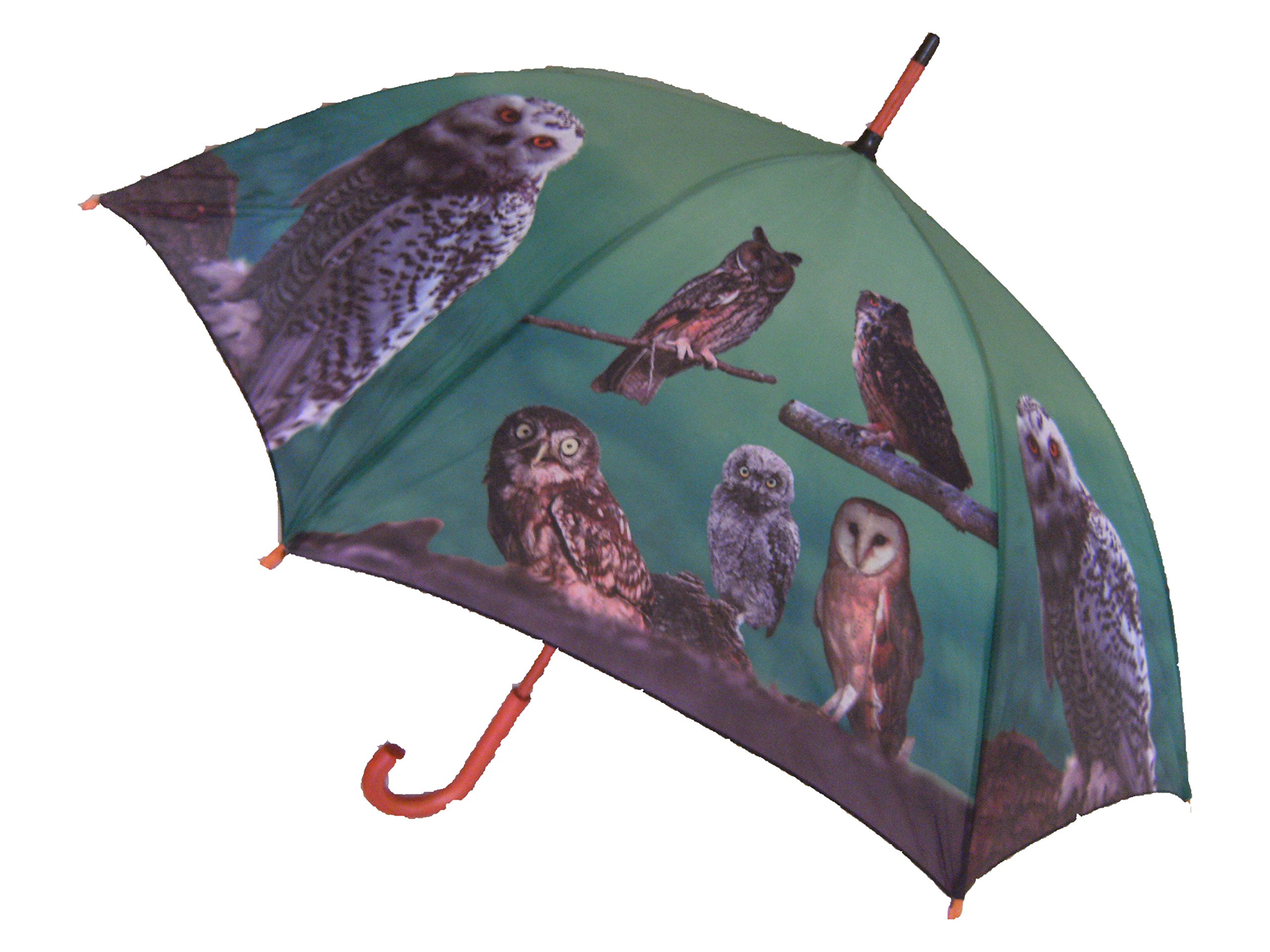 Cornelissen Regenschirm Mit Eulen-Motiv & Holzgriff – Automatik-Stockschirm, Ø 91 Cm