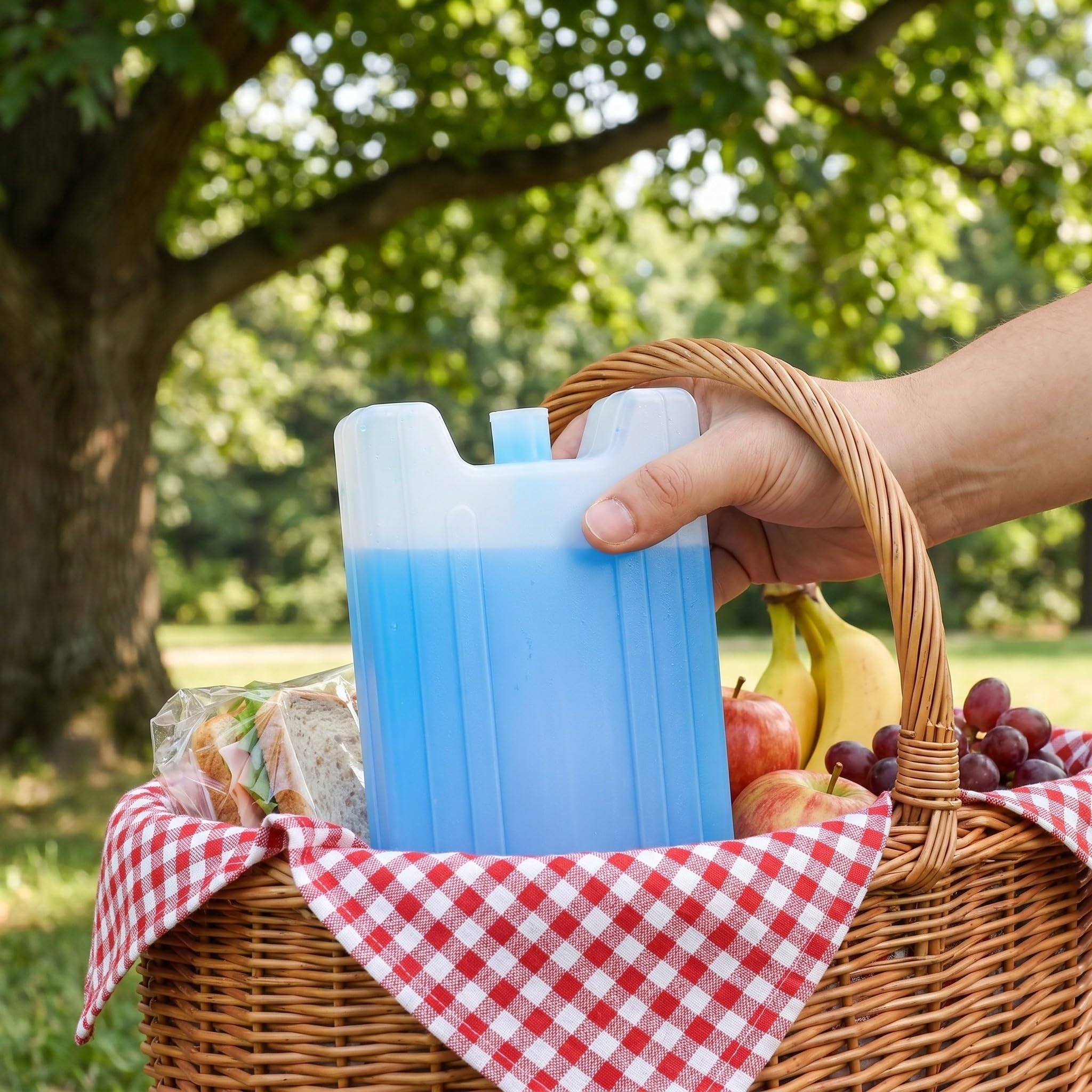 BESPORTBLE 4 Pezzi Impacco di Ghiaccio e Trasporto Conservazione della Freschezza da 400ml Pre-Riempito Confezione Refrigerante per Festa Estiva per Alimenti e Bevande, per Scatola Pranzo