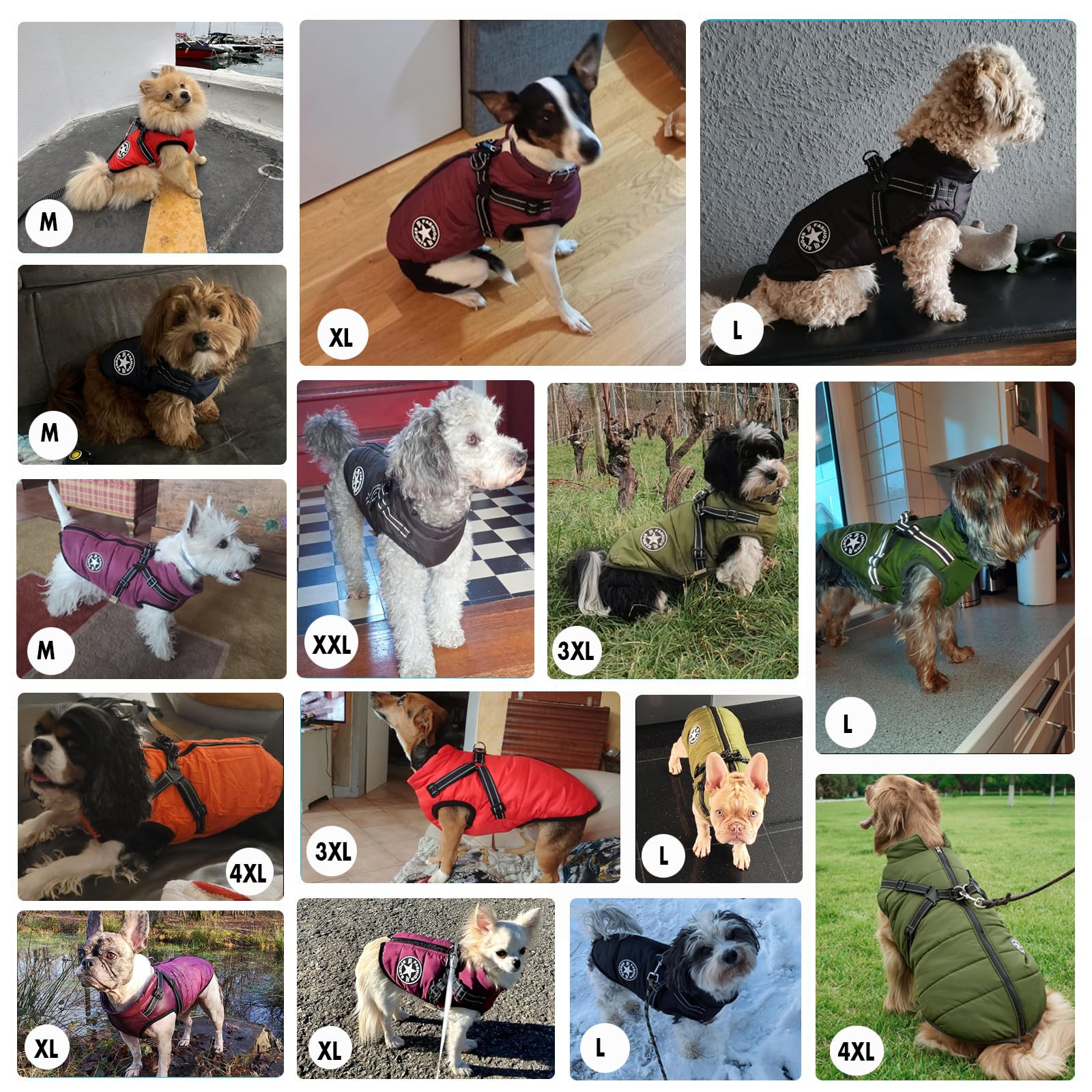 Giacche invernali per cani Antivento Impermeabili 2 in 1 Abbigliamento Cappotto termico per tempo freddo Pettorina con giacca invernale per cuccioli Giacca calda per cani invernale Blu XXL