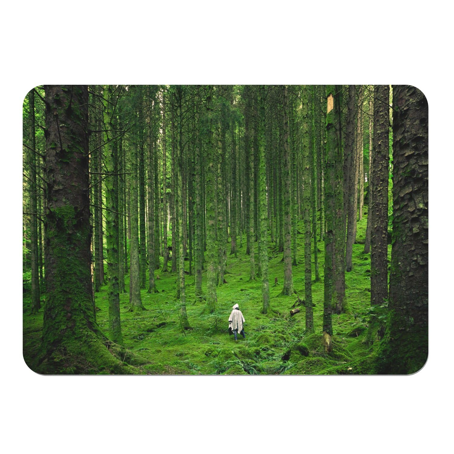 4 Sets de table souples en liège grand format forêt de pin 39,5x28,5 cm