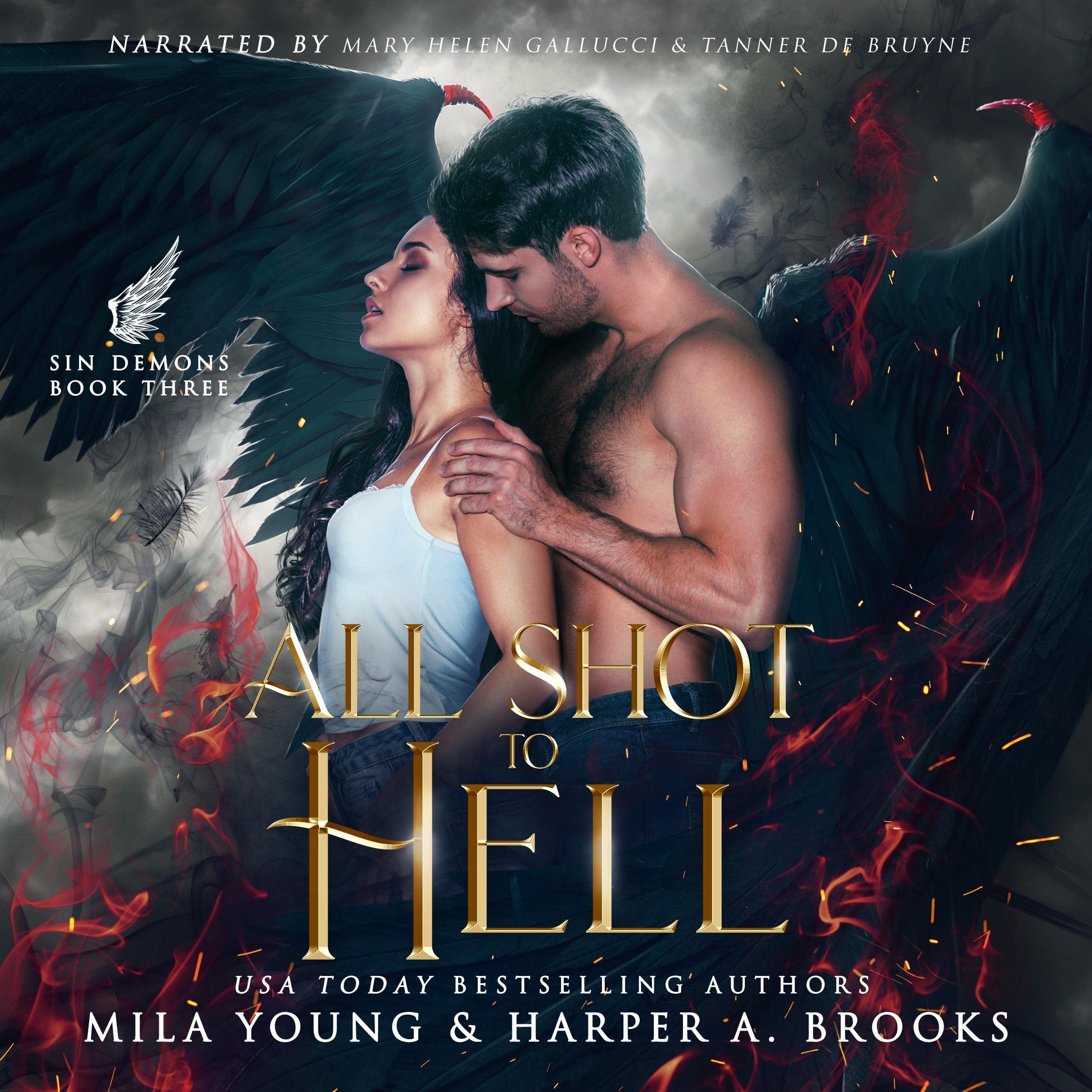 Cover art for All Shot to Hell