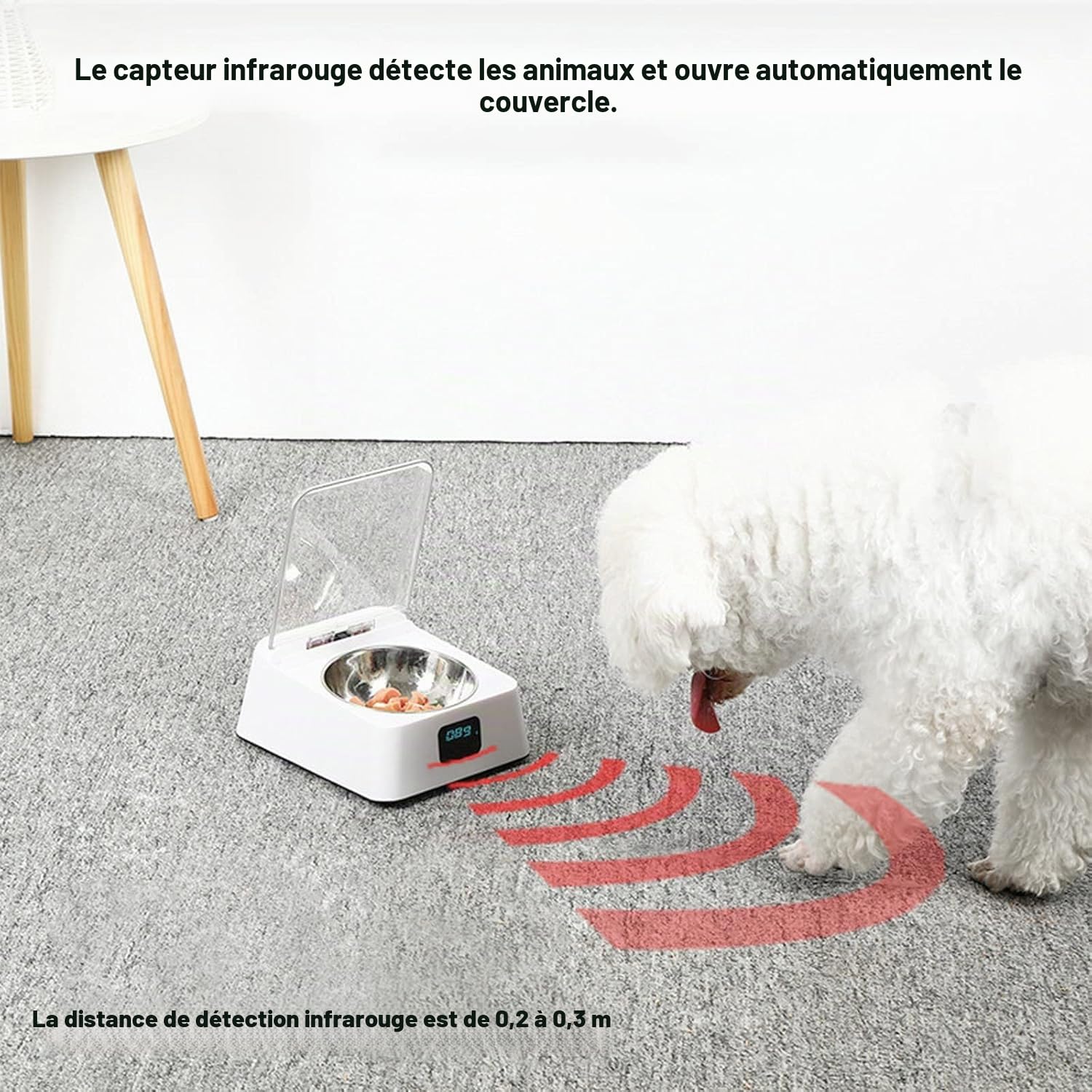 Distributeur Automatique de Nourriture pour Chats et Chiens – Capteur Infrarouge Intelligent pour Alimentation Sèche/Humide (350ml) avec Bol en Acier Inoxydable – Pratique pour Petits/Moyens Animaux