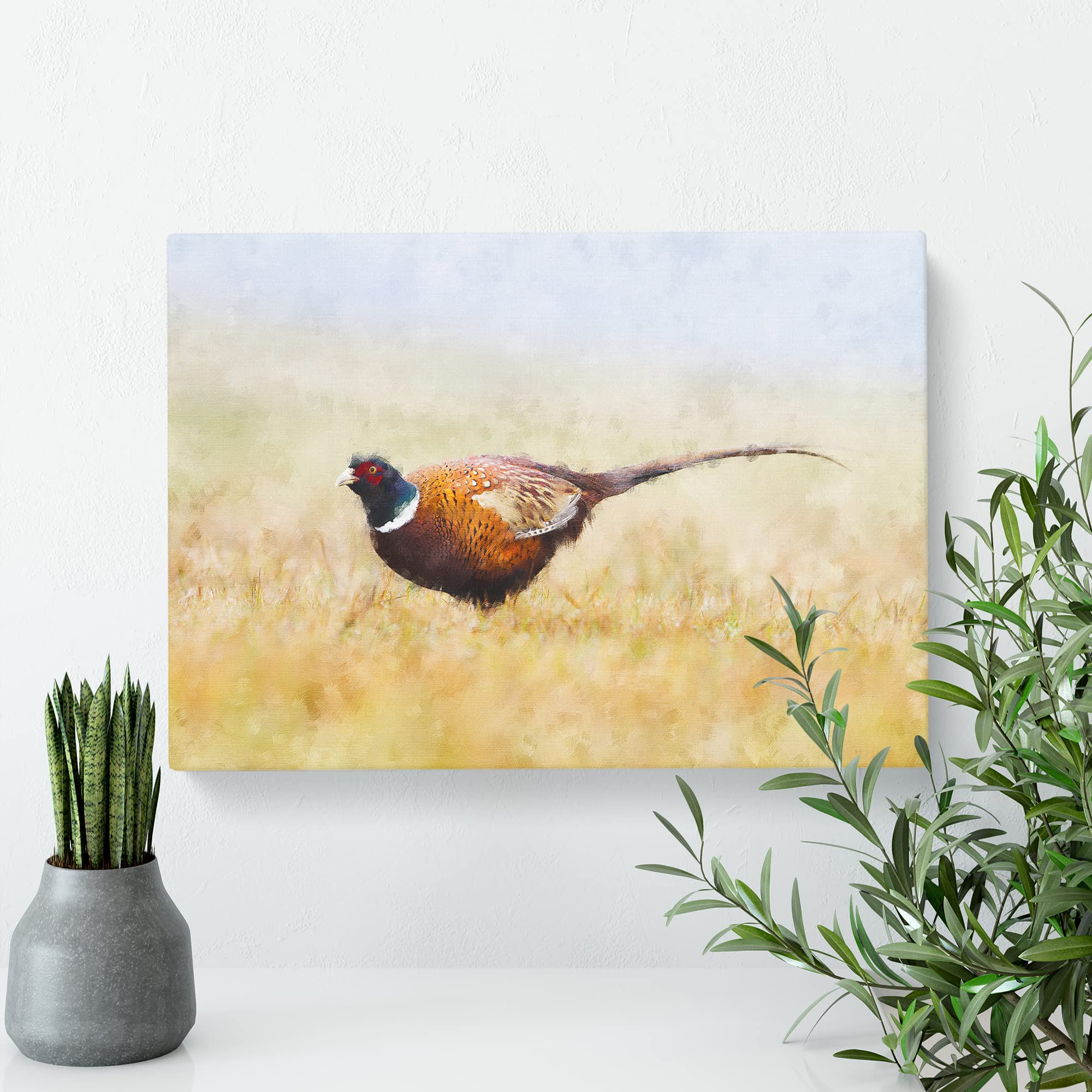 A Pheasant Bird Canvas Print, Mixed, 25L x 50W cm - Image 3