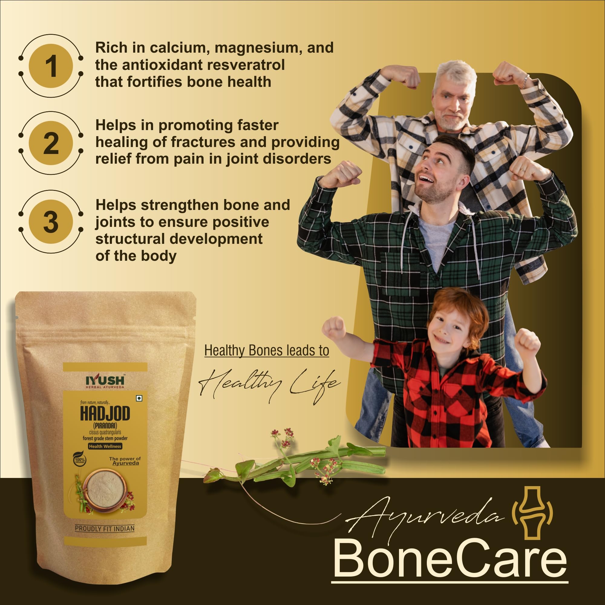 IYUSH Herbal Ayurveda Hadjod Powder, 400gm | Pirandai Powder | Cissus Quadrangularis Powder | Bone Strength Supplement 1