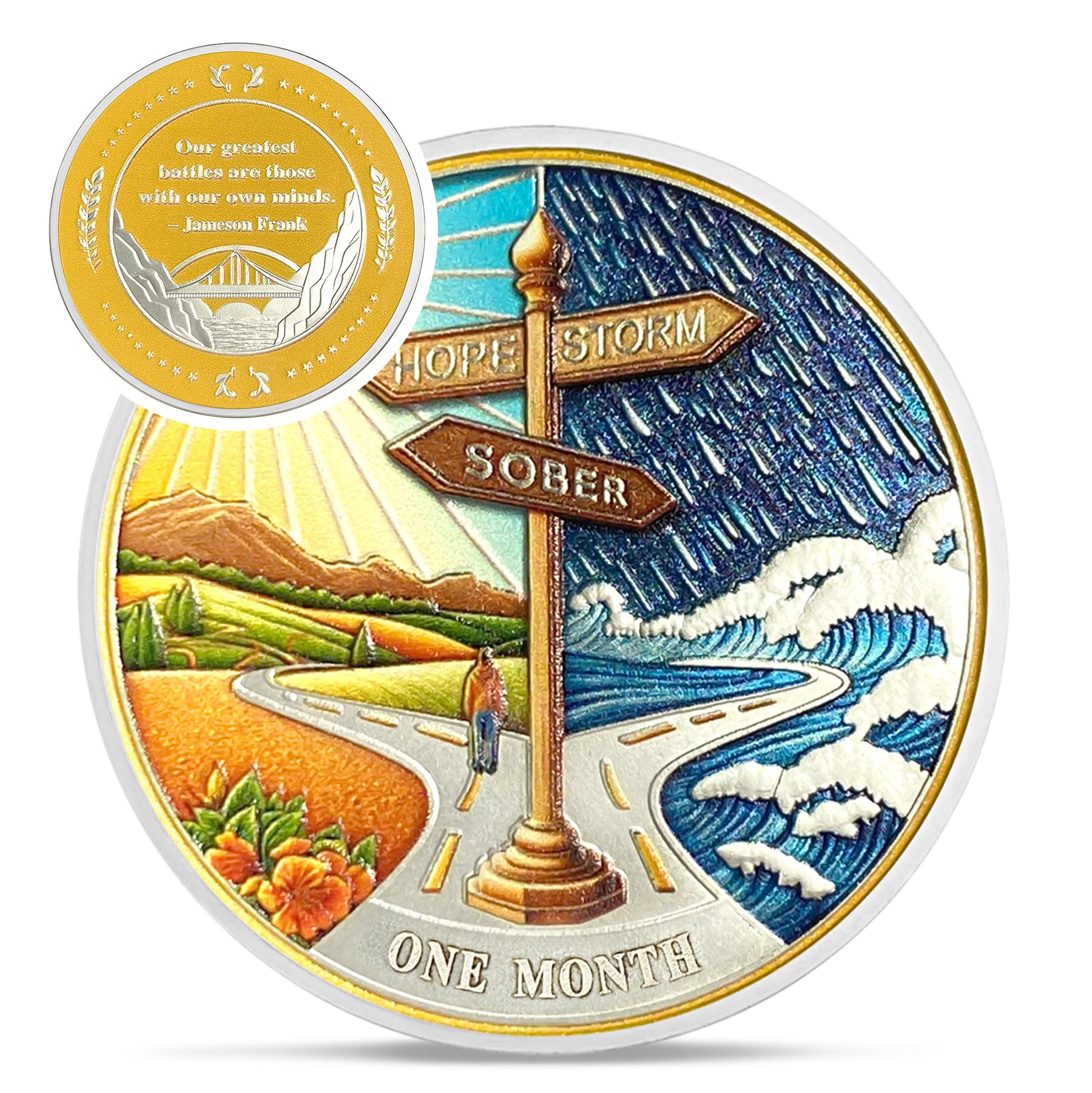 Hope Signpost 1 Month Sobriety Coin - Reborn from Storm AA Coins - 30 Day AA Chips and Medallions - 1-10 Years NA AA Celebrate Recovery Addicts - Narcotics Alcoholics Anonymous Gifts for Men Women
