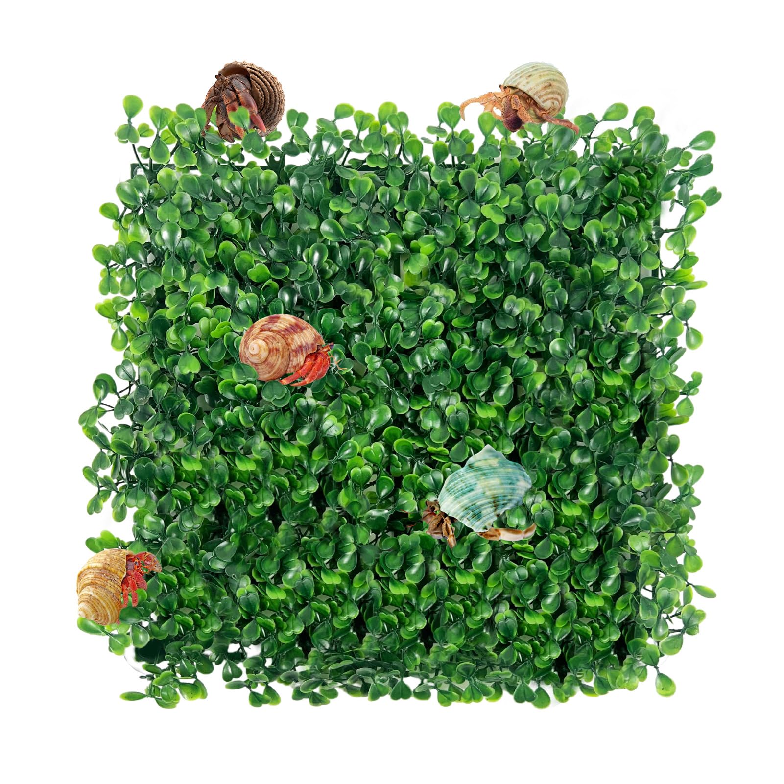 Rainmae Hermit Crab Climbing Toys, Faux Grass Mat Fake Turf Hermit Crab Climbing Wall, Plastic Aquarium Plants Lawn Hermit Crab Supplies Climbing and
