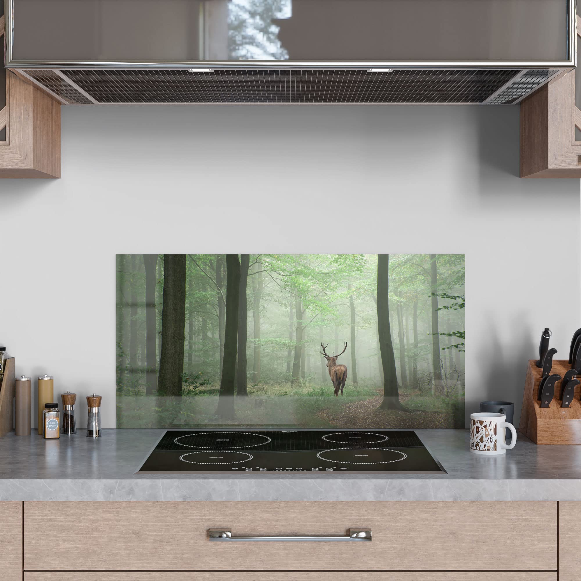 Fond De Cuisine En Verre DEQORI - Cerf Entre Arbres - Anti-éclaboussures - Plusieurs Tailles