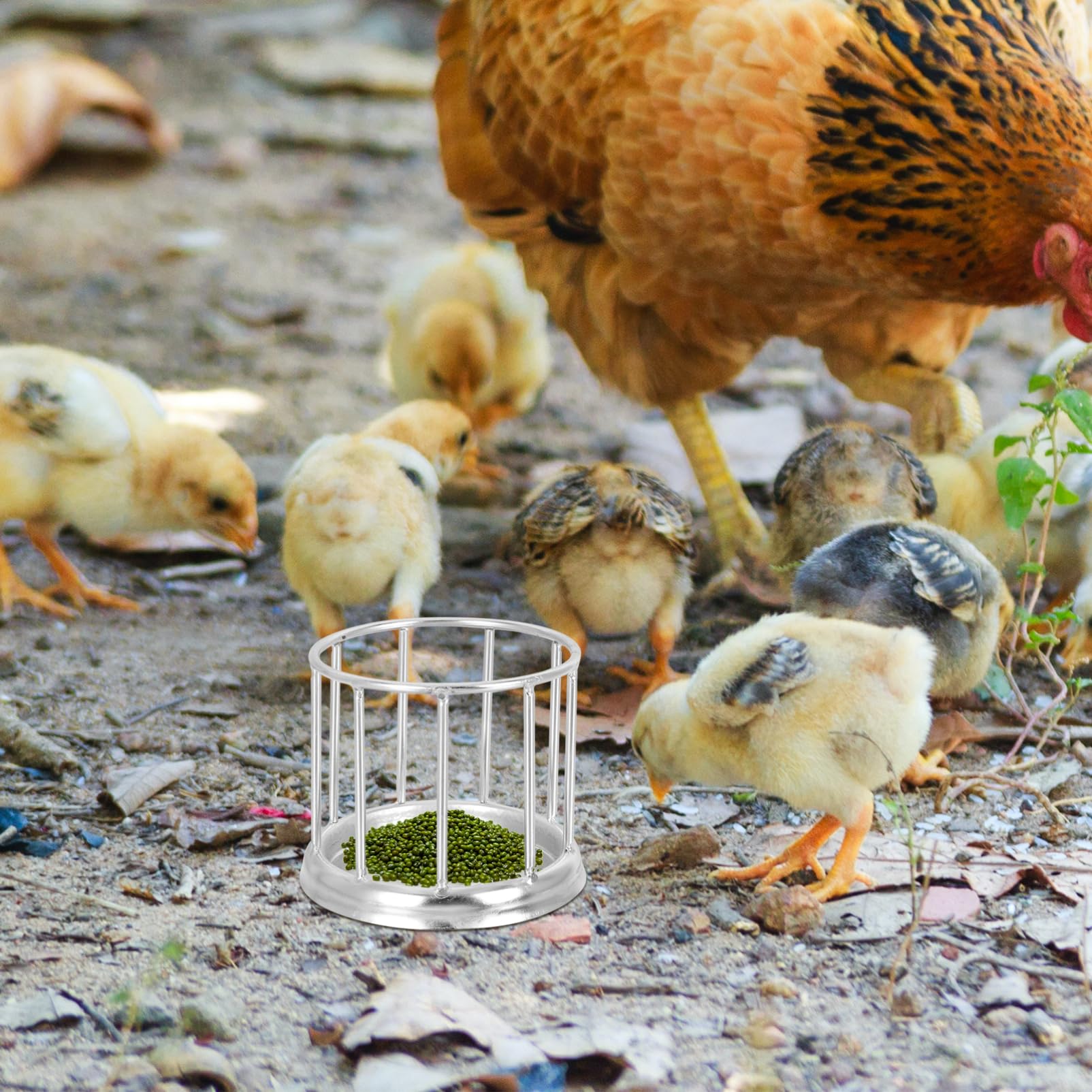 Kisangel 3piezas Comedero Inoxidable para Reptiles y Tortugas Alimentador Automático De Agua y Comida para Gansos y Aves Diseño y