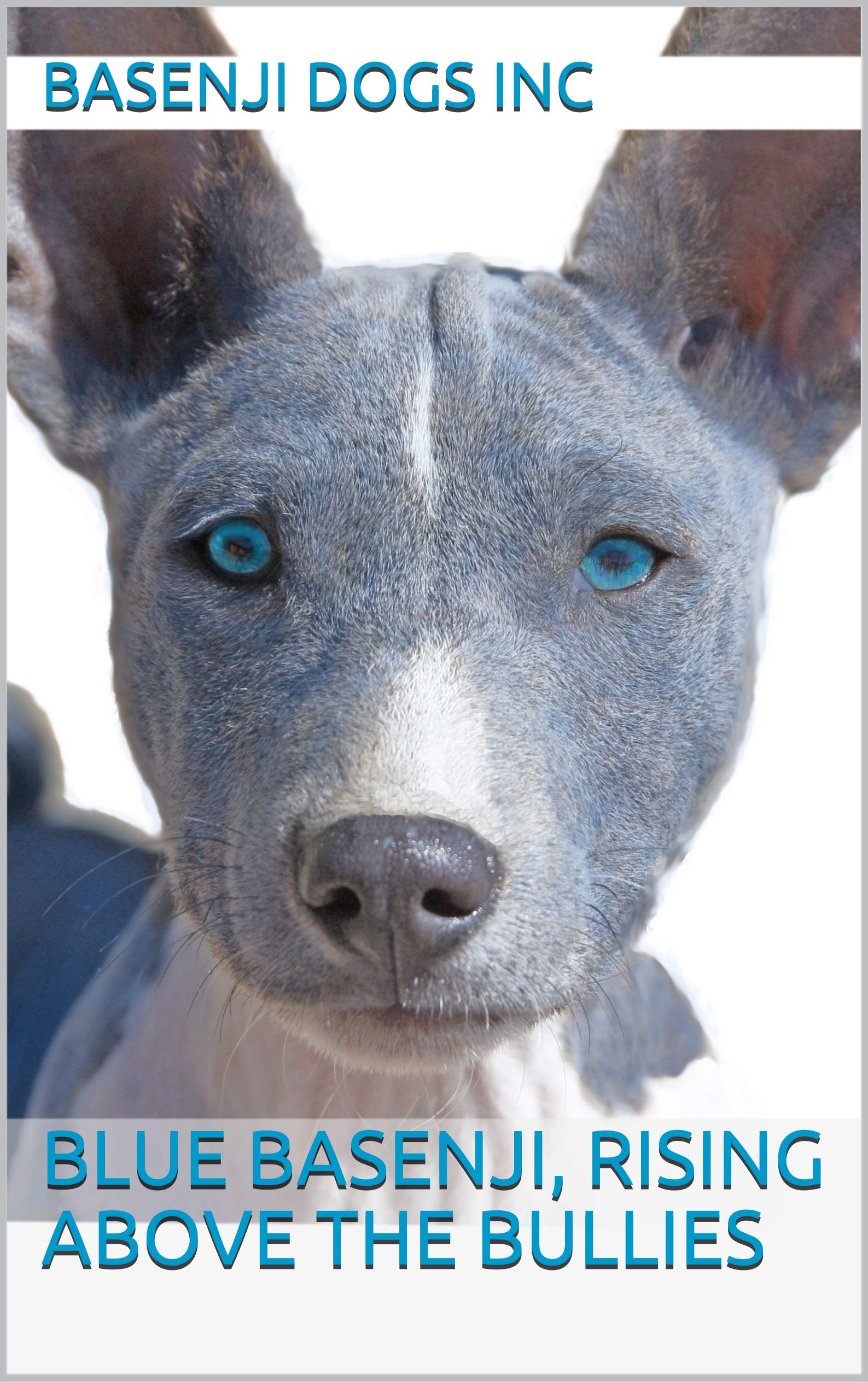 Blue Basenji, Rising Above the Bullies