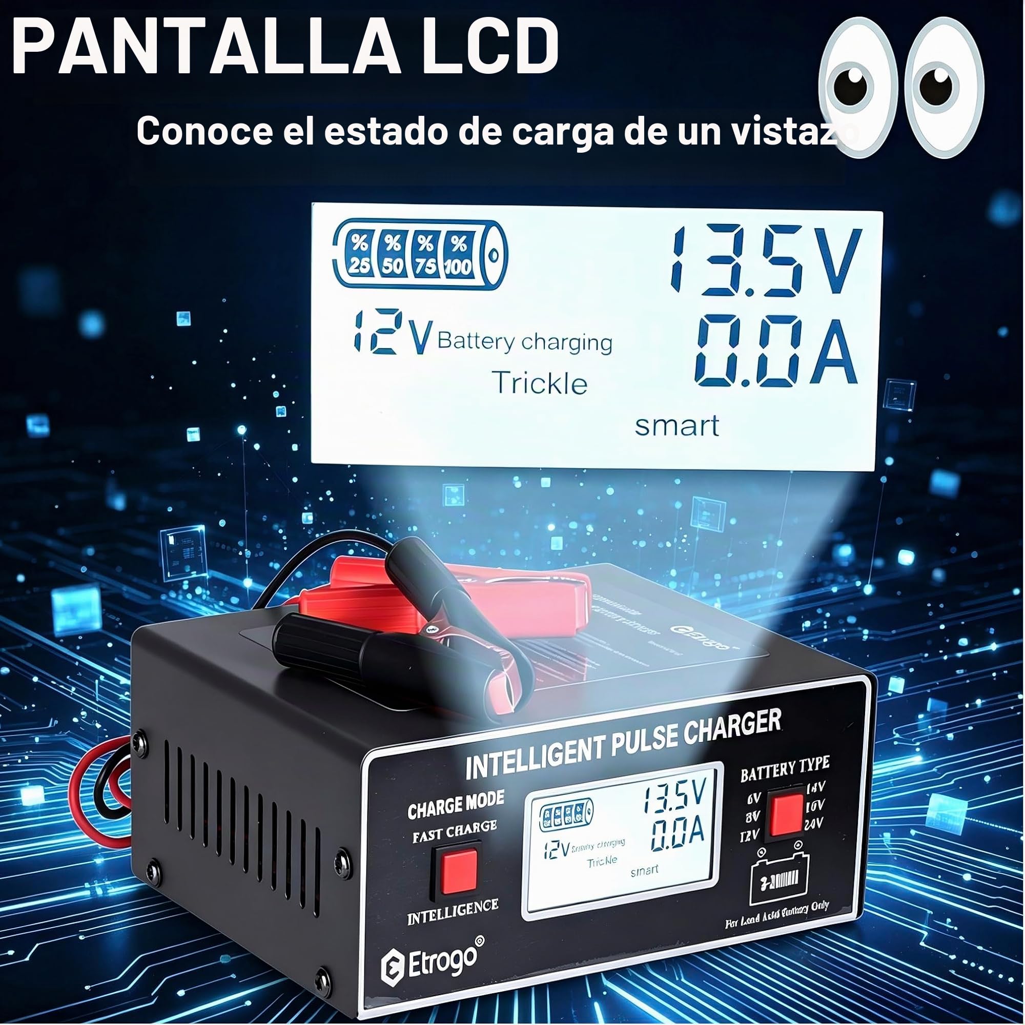 Etrogo Cargador Batteria Coche de Pulso 6V 8V 12V 24V10A Inteligente Automático con Pantalla LCD Función de Reparación para Barcos Motocicletas etc-Negro