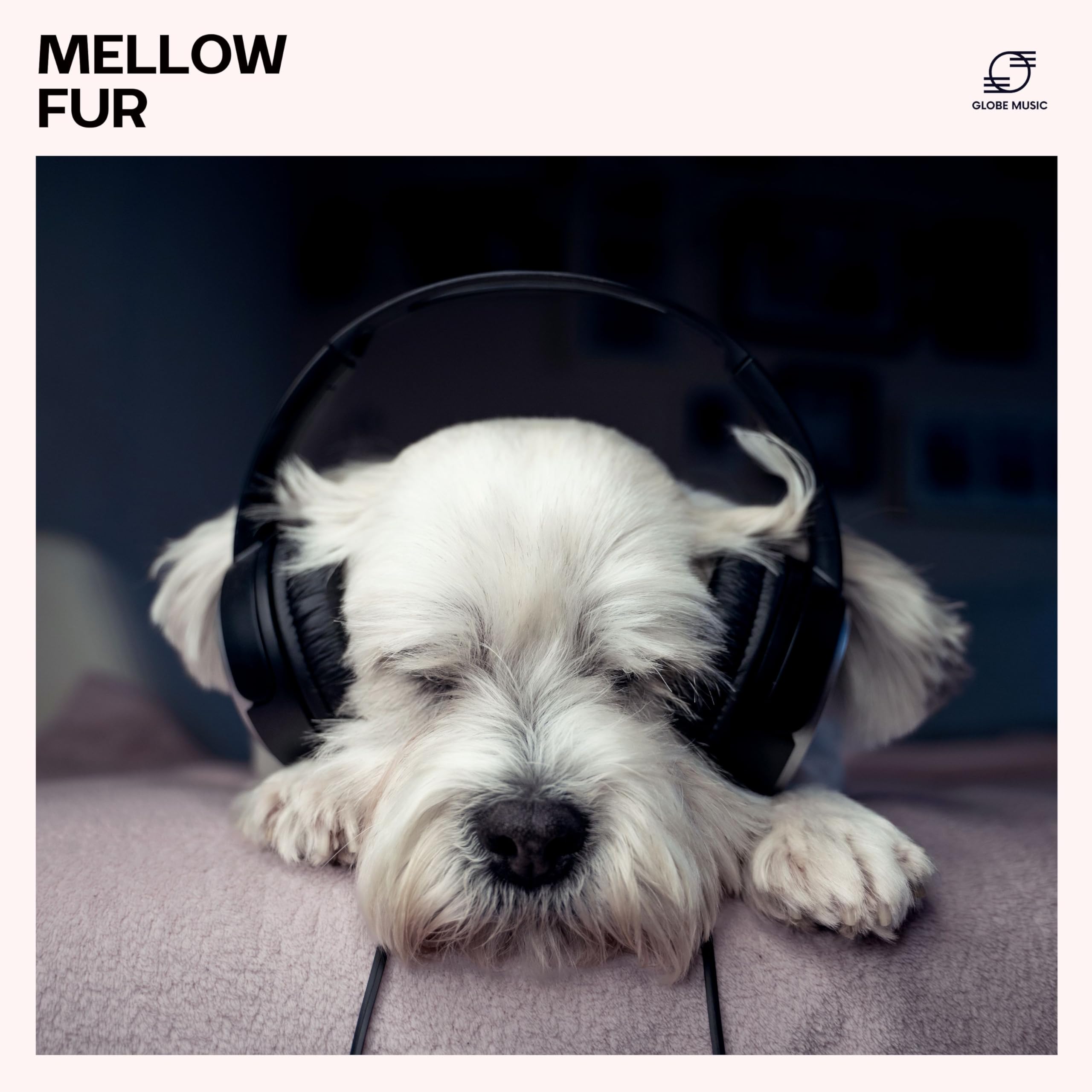 Pet Music Maestro