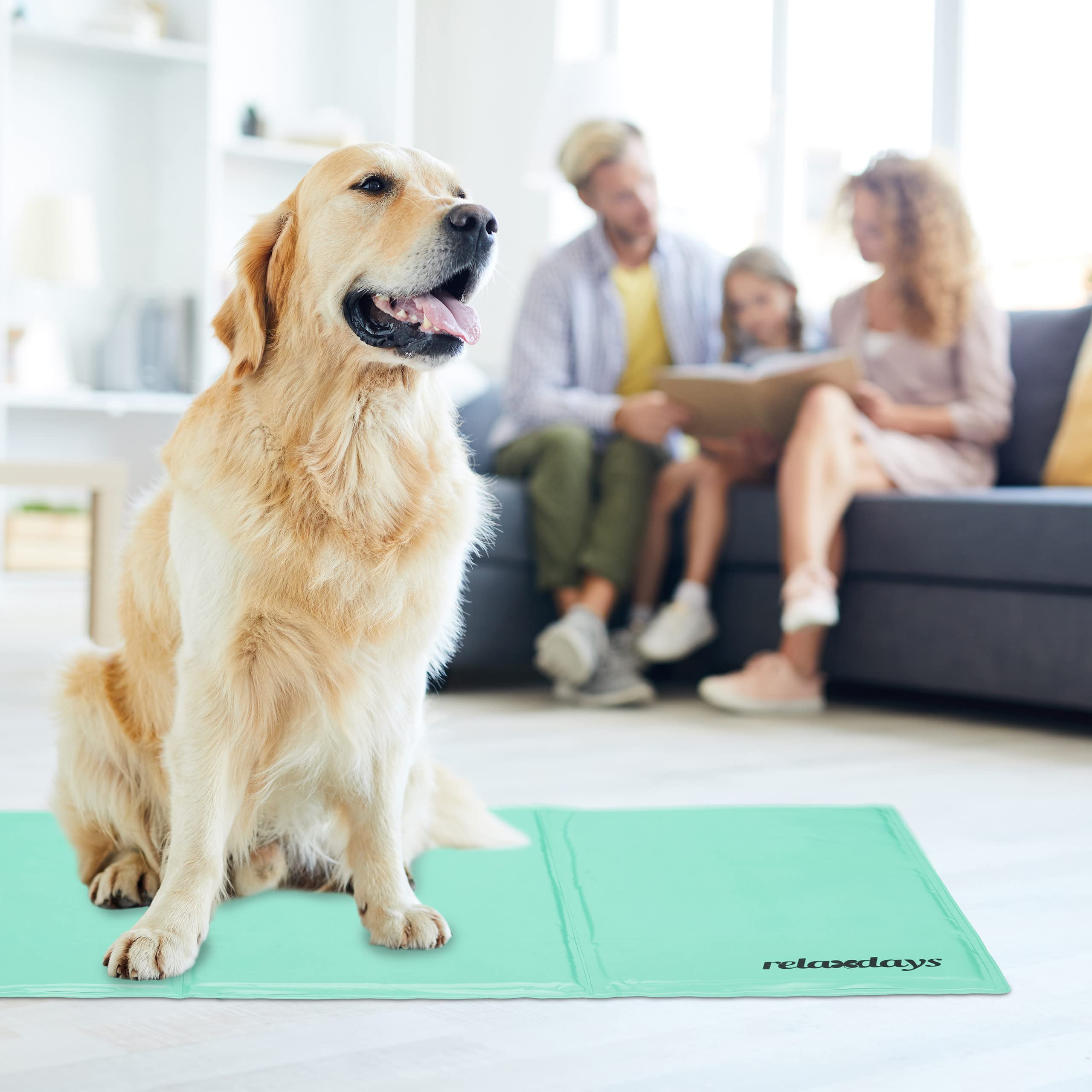 Mora Pets Koelmat voor honden, katten, koeldeken voor honden, met niet-giftige gel, zelfkoelende koelmat met kussen, voor kleine, middelgrote en grote huisdieren, 100 x 70 cm Mora Pets Koelmat voor honden, katten, koeldeken voor honden, met niet-giftige gel, zelfkoelende koelmat met kussen, voor kleine, middelgrote en grote huisdieren, 100 x 70 cm