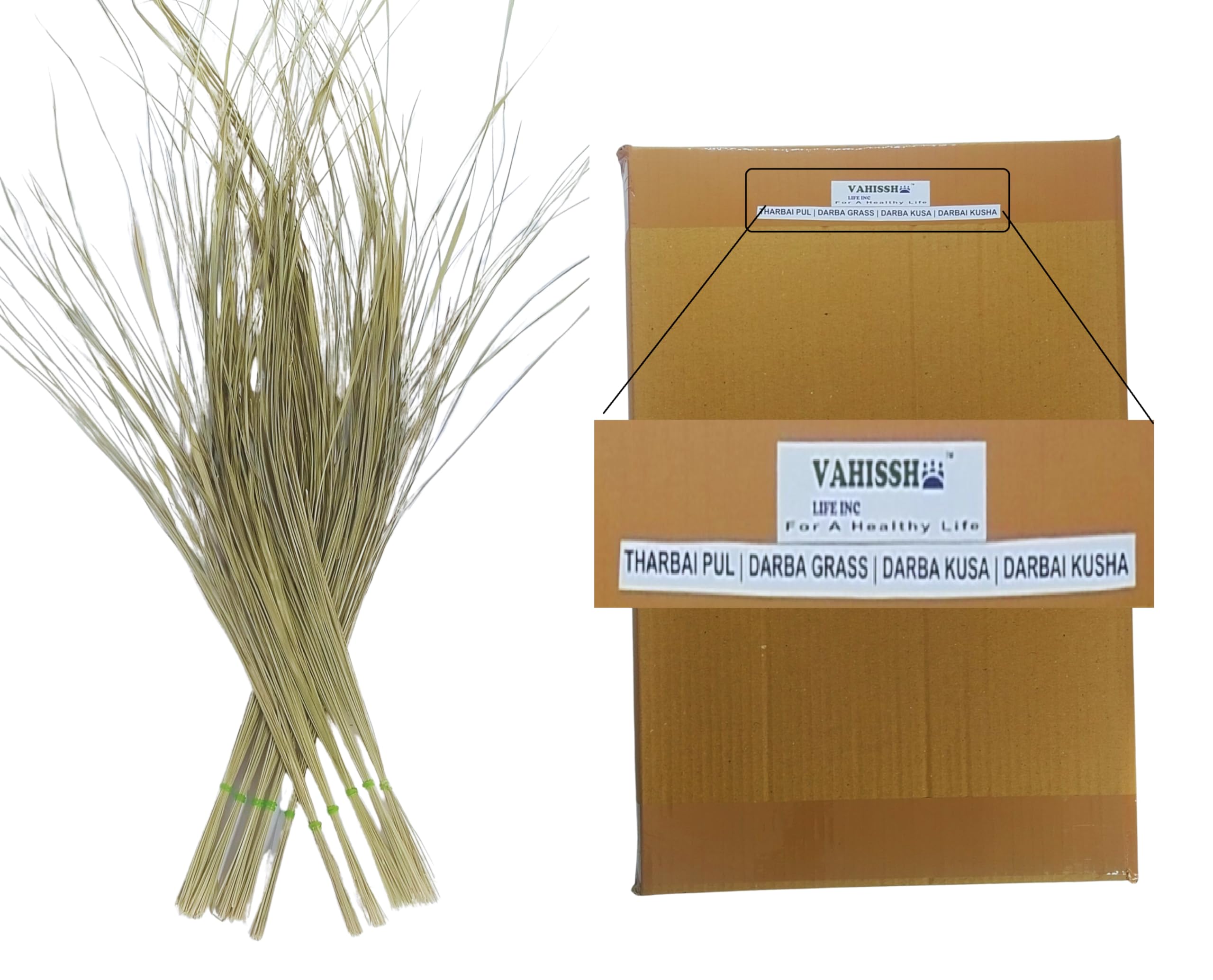 See full amazon price history chart for Natural Darbha Grass or Kusha dry grass for puja karma hawan yagyan/pooja home temple/Tharbai Pul, Darba Grass, Dharba Kusa (10 Bunches) Darbai pul for Holistic pooja/Tharpanam essential Natural Darbha Grass or Kusha dry grass for puja karma hawan yagyan/pooja home temple/Tharbai Pul, Darba Grass, Dharba Kusa (10 Bunches) Darbai pul for Holistic pooja/Tharpanam essential (B0CKYDPMGC) Amazon Price History, Amazon Price Tracker