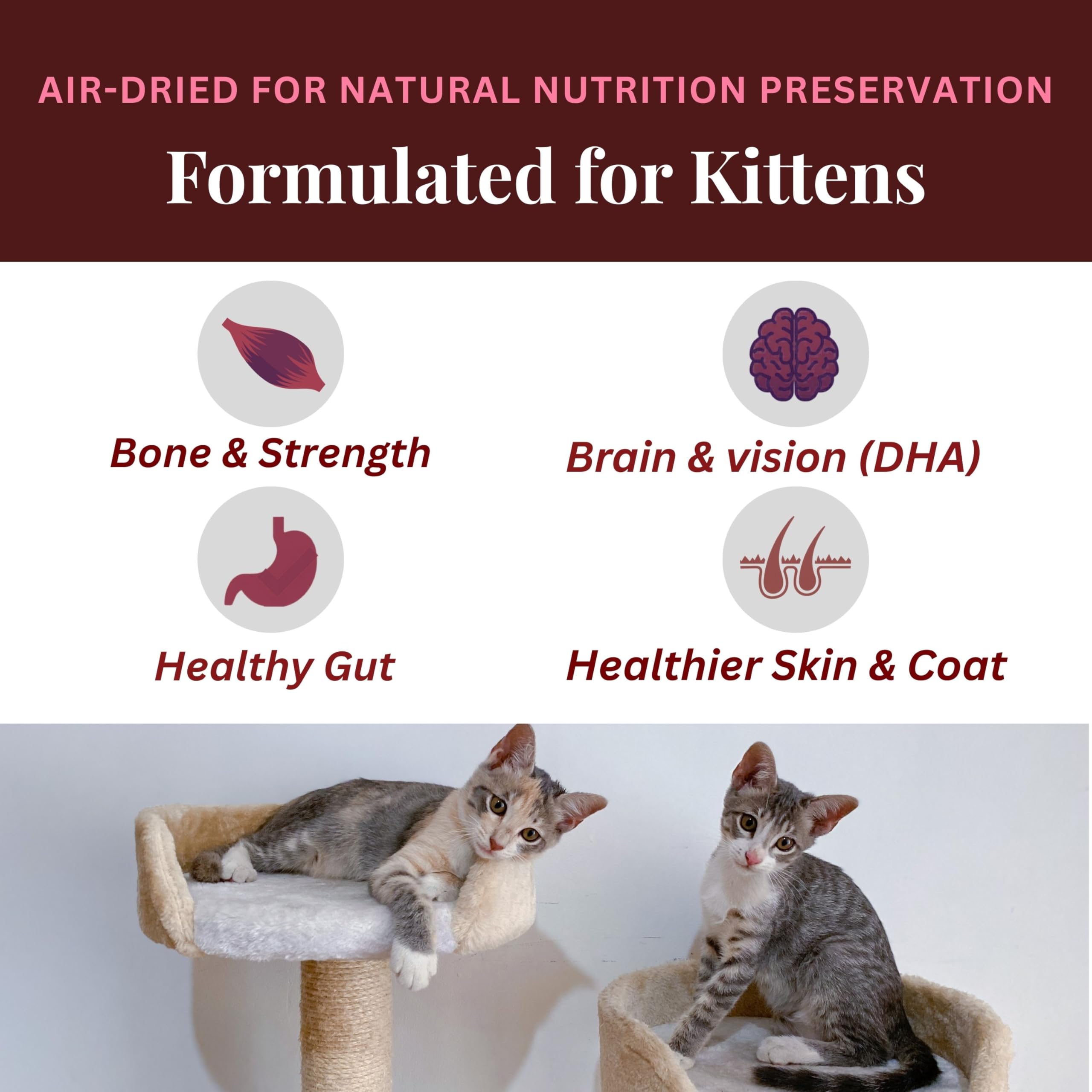 UNDERSTOOD Air Dry Kitten Food | 500g Makes 1.5 kg Wet Food | High Protein, Real Taurine from Anchovies and Chicken Heart | Growth Formula 2