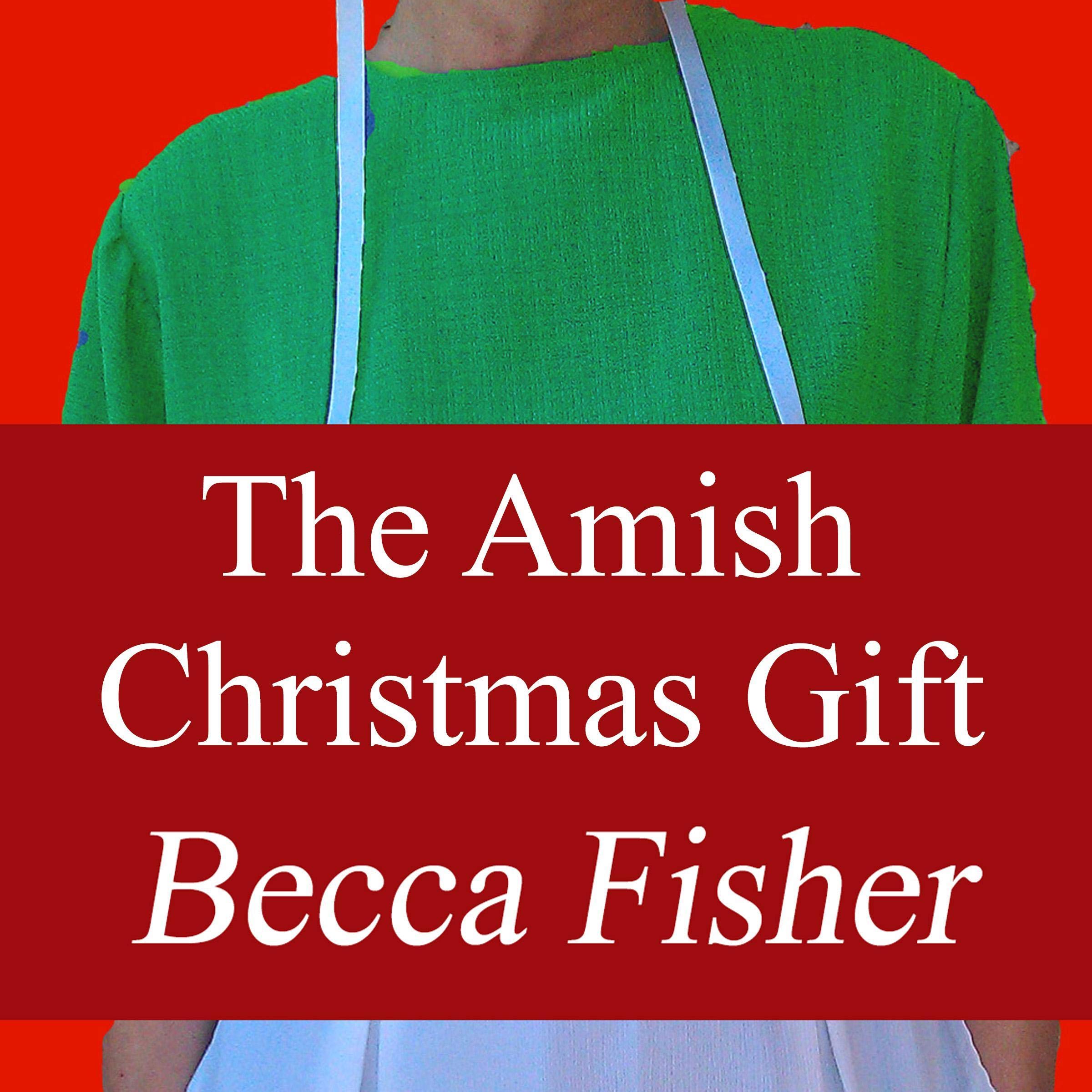 The Amish Christmas Gift