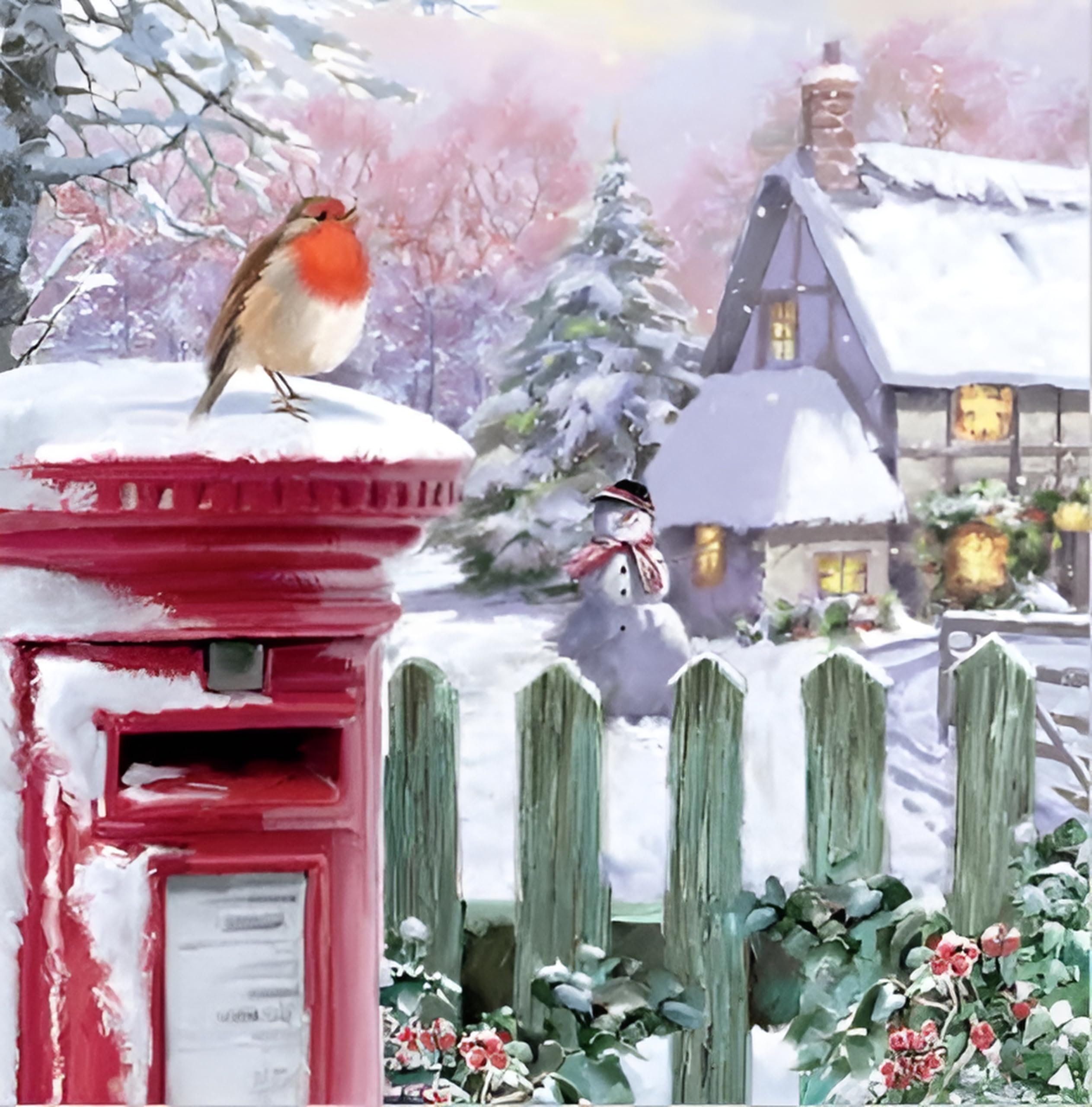 Noel Tatt Charity Christmas Cards Pack of 10, Charity Christmas Cards with Robin and Snowy Cottage Design
