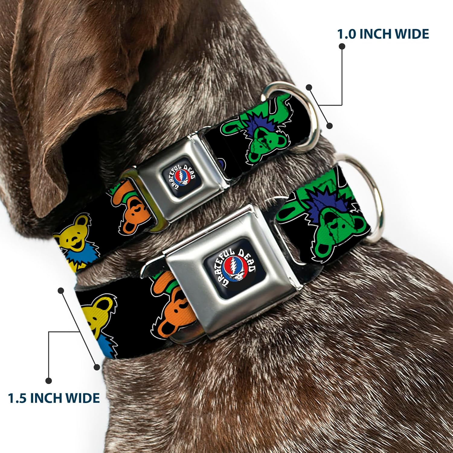 Grateful Dead Pet Collar, Dog Collar Metal Seatbelt Buckle, Grateful Dead Dancing Bears Close Up Black Multi Color, 9.5 to 13 Inches 1.0 Inch Wide