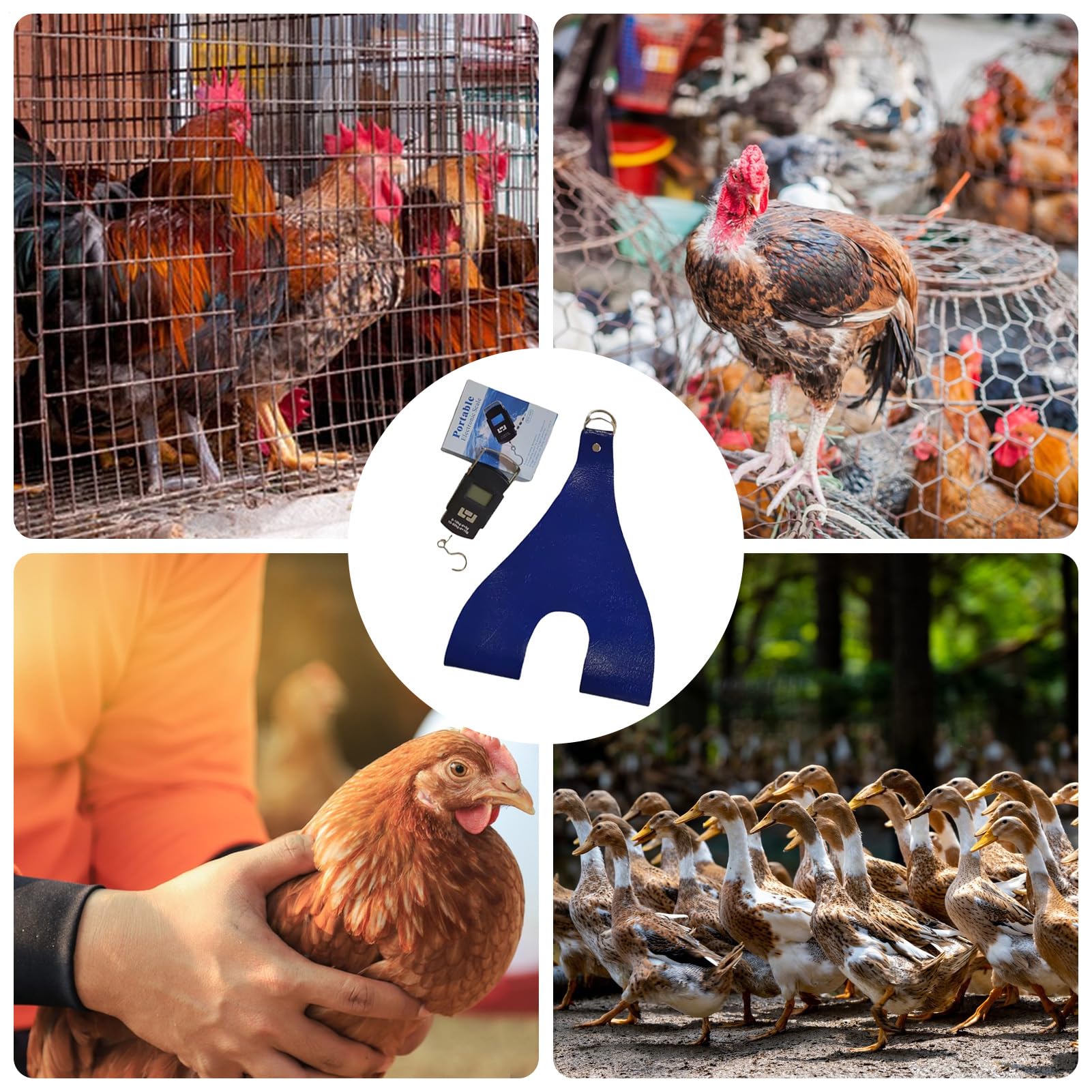 Animal Holder, Chicken Weighing Sling, Waterproof Adjustable Hen Scale with Strong Fabric Support, Lightweight Portable Farm Accessory for Measuring Poultry Weight and Safe Animal Handling