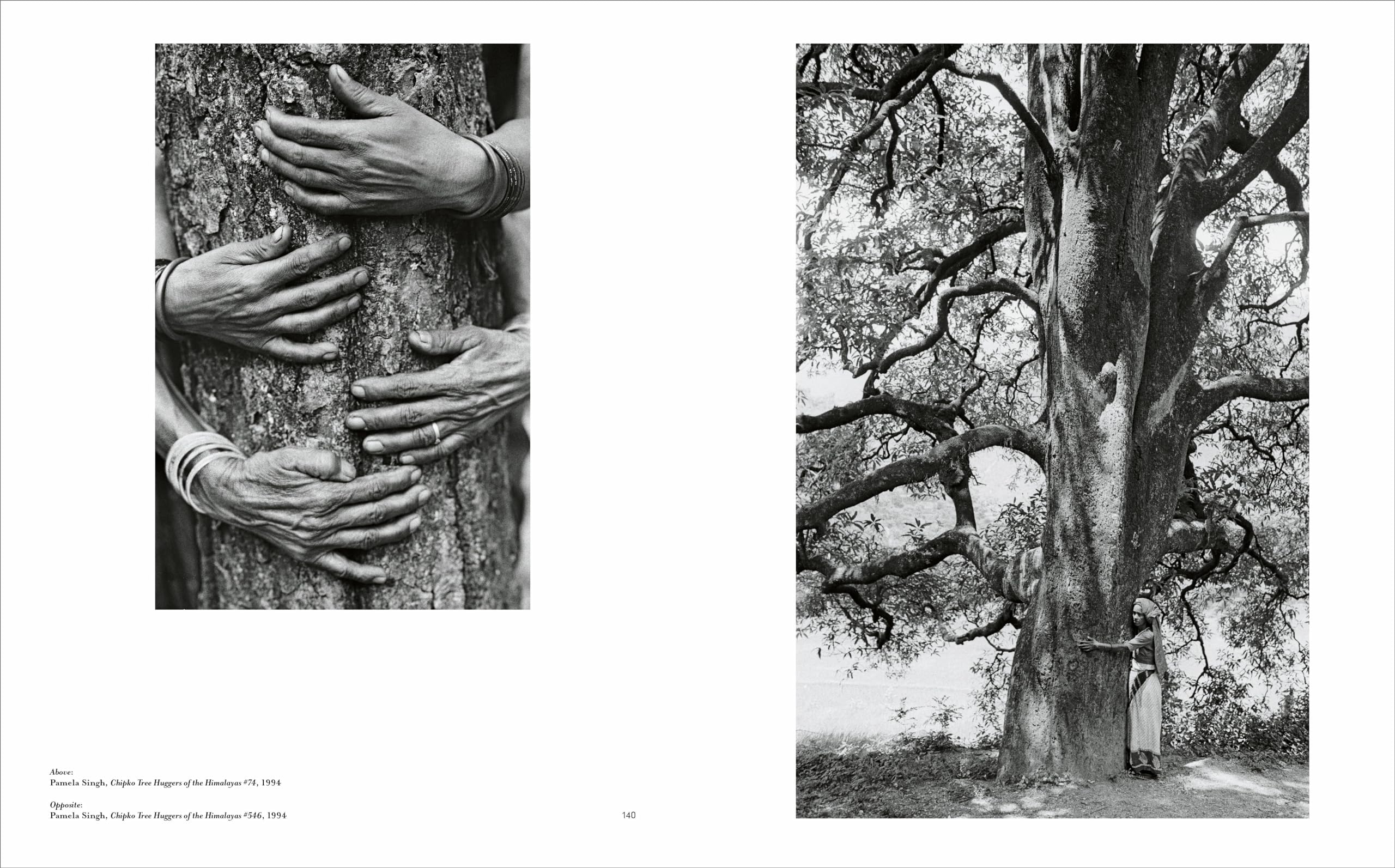 Re/Sisters: A Lens on Gender and Ecology