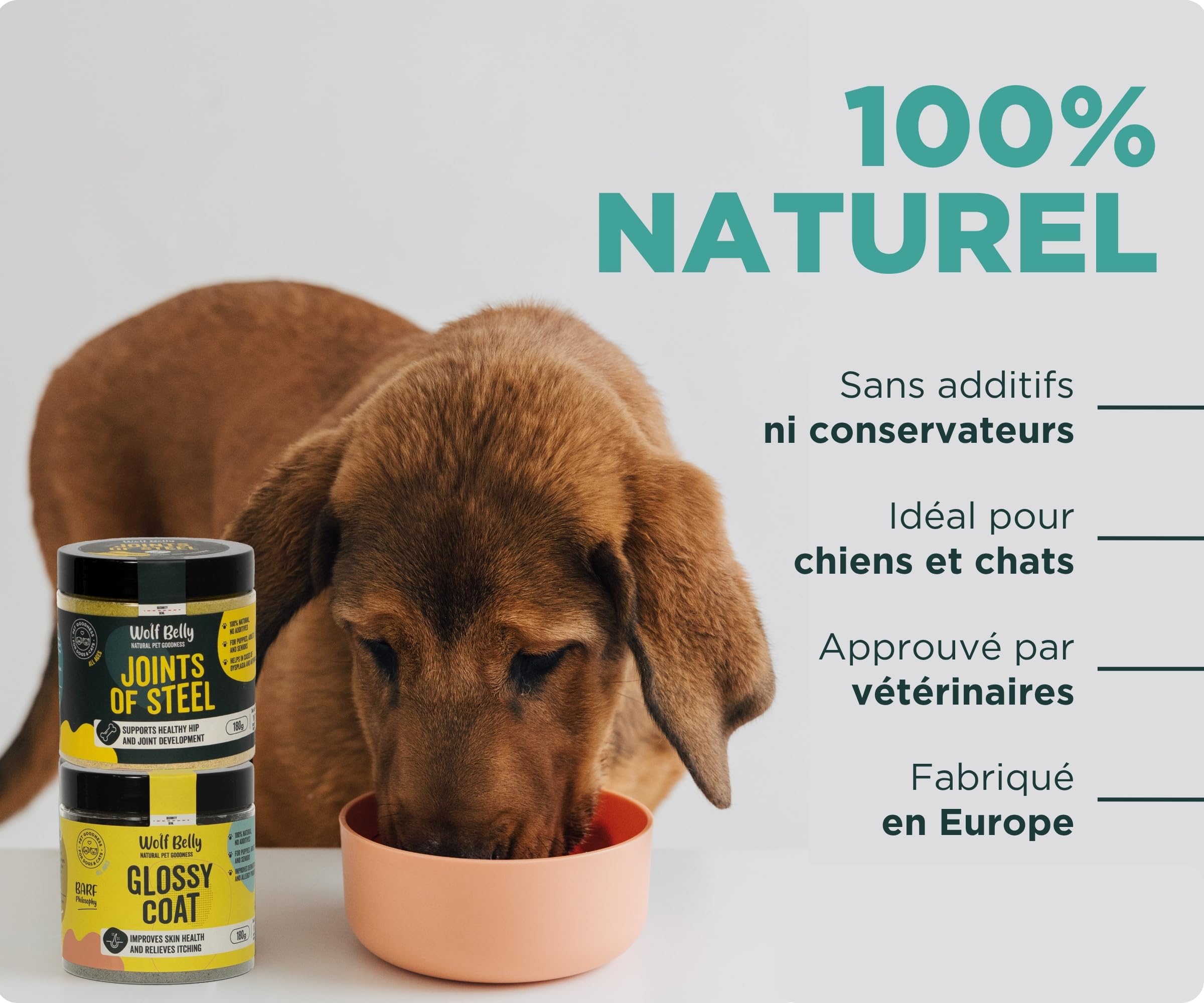 Wolf Belly - Pack Complément Articulations et Peau 100% Naturel (180 g) | Chondroprotecteur + Anti-démangeaisons | pour Chiens et Chats | Format en Poudre - Fabriqué en UE