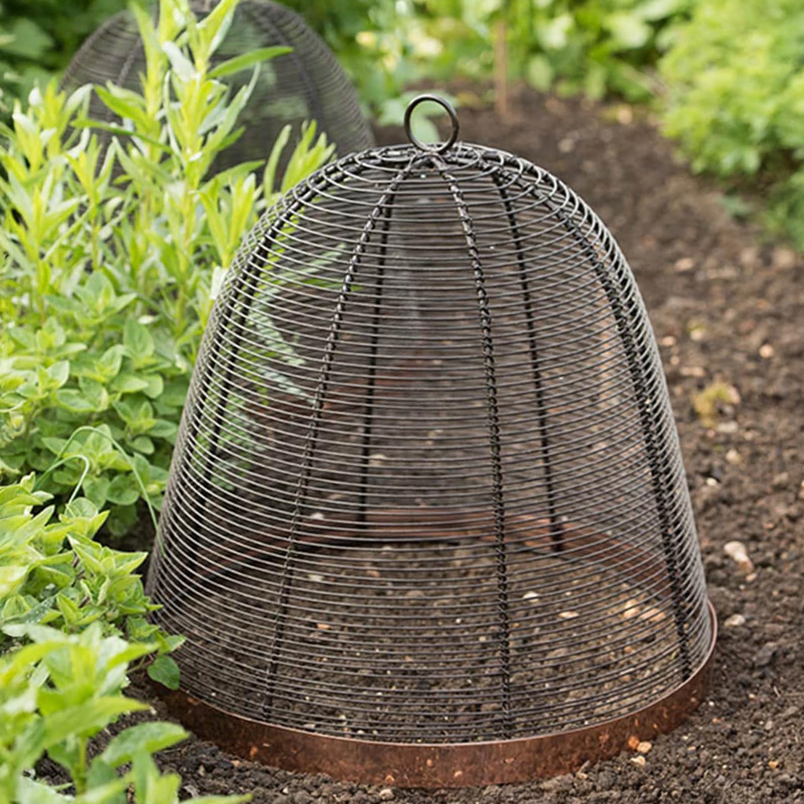 Copper rimmed cloche - dark brown (Cloche - bird cage brown)