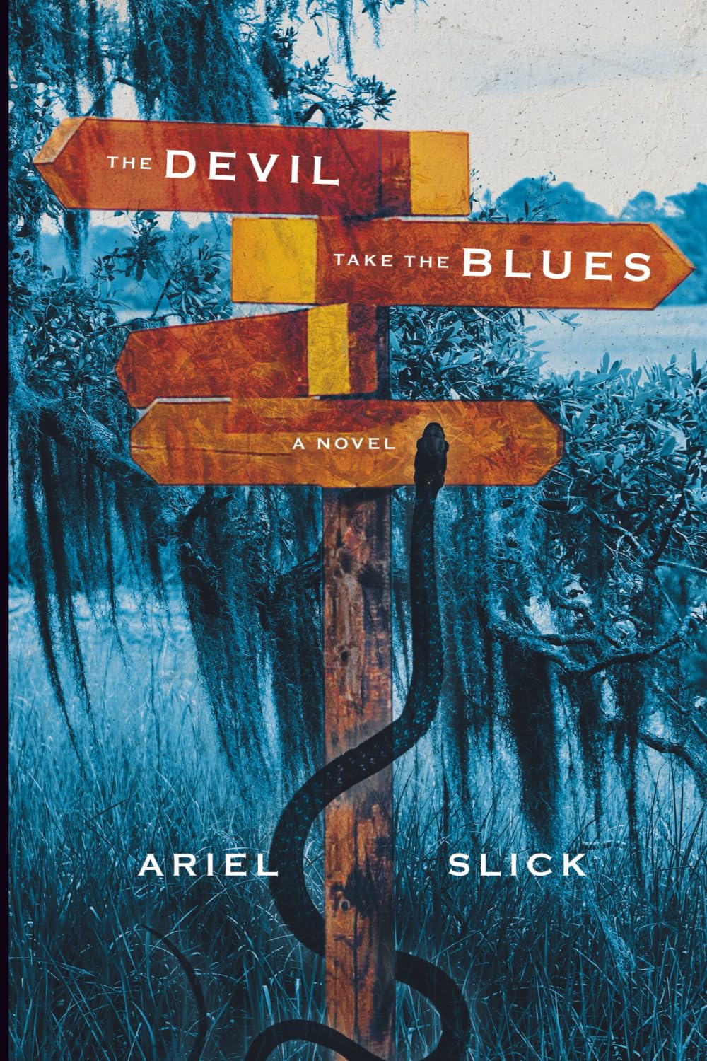 The Devil Take the Blues: a Southern Gothic Novel