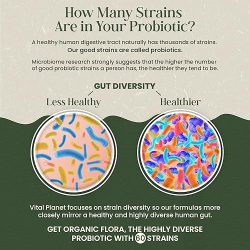 Miniatura 4 de Vital Planet - Probióticos orgánicos de flora para hombres, probióticos diarios de 30 mil millones de UFC, 60 cepas diversas, mezcla de hongos