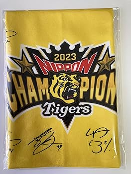 81UWP6OjjML._AC_UF350,