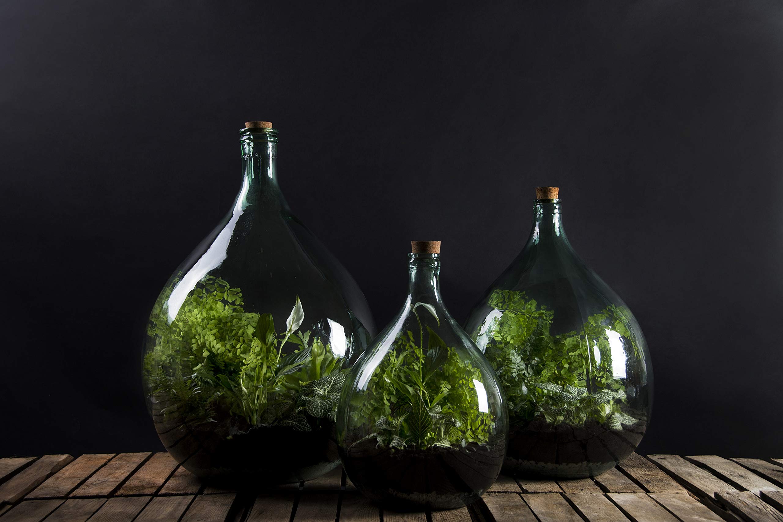 Amazon.com: Esschert Design AGG49 Terrarium Bottle Planter
