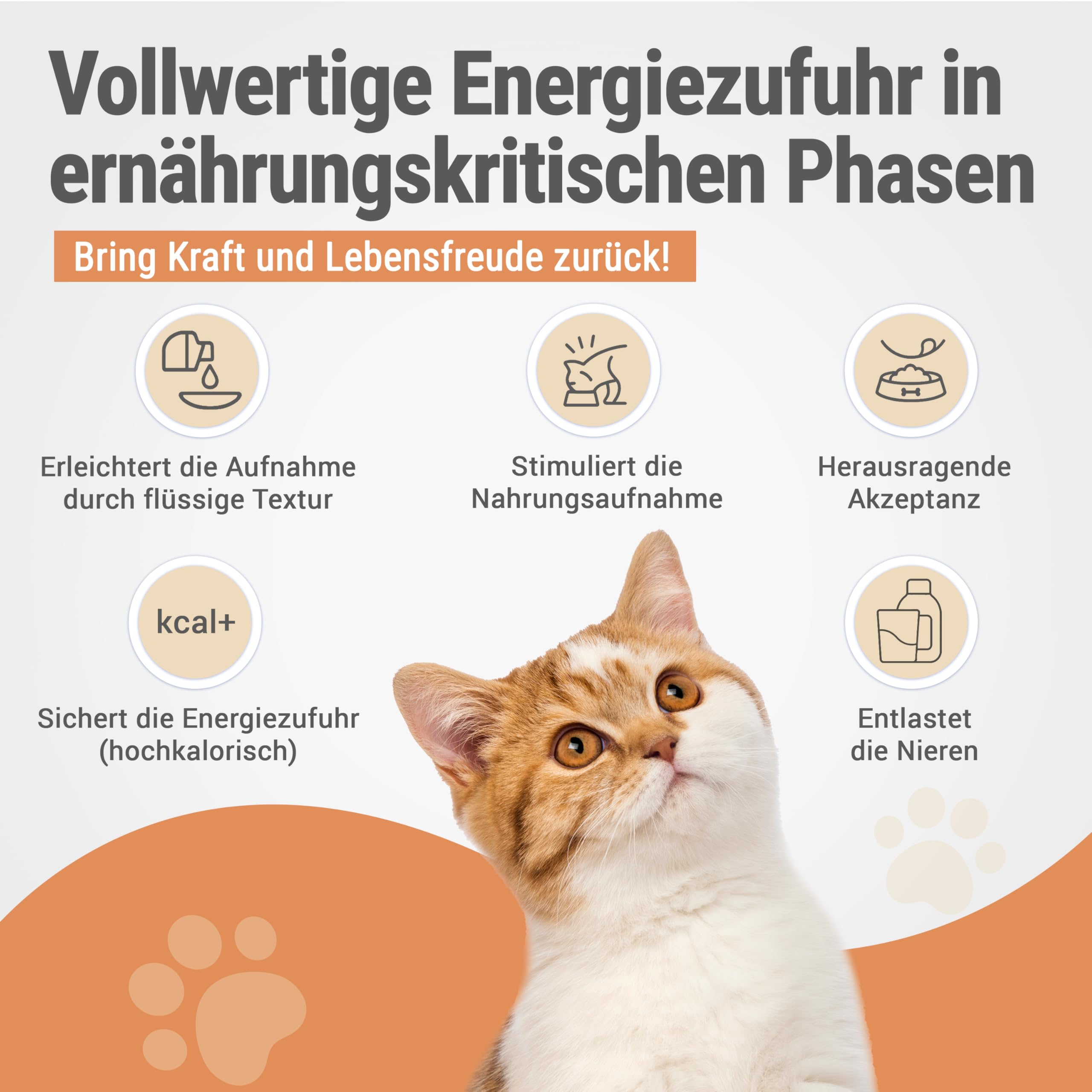 RECOACTIV Recovery Renal für Katzen, 1 x 280ml, hochkalorisches Diät-Alleinfuttermittel bei Nierenfunktionsstörungen und erhöhtem Energiebedarf in der Rekonvaleszenz, zur Gewichtszunahme