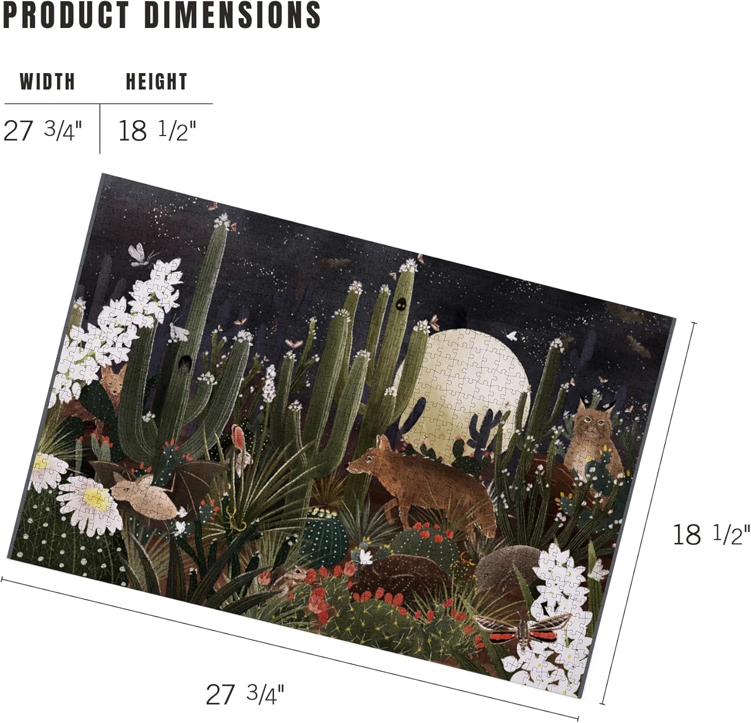 Lantern Press Desert After Dark, 1000 Piece Jigsaw Puzzle for Adults, Made in USA with Reference Poster