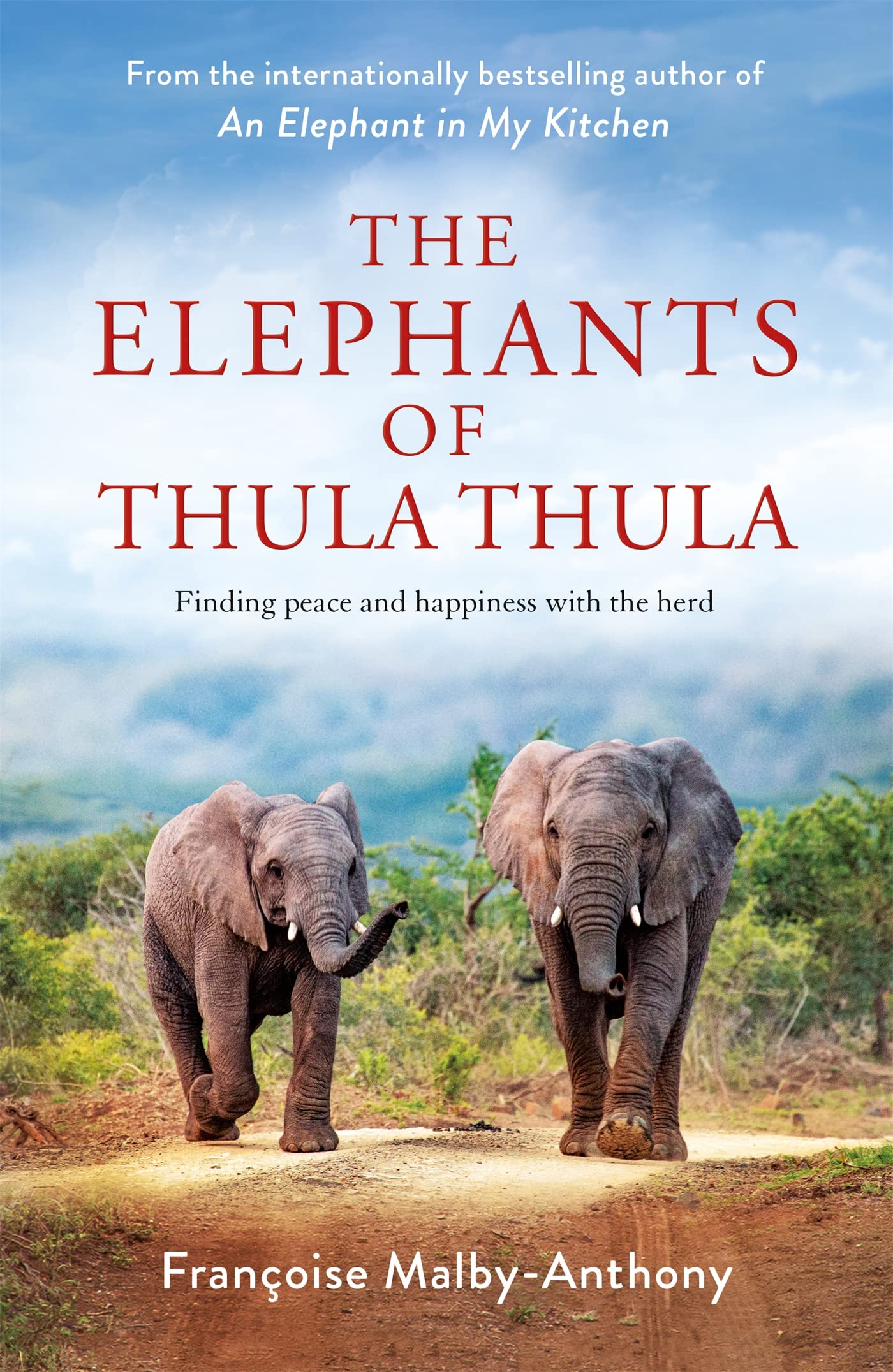 MACMILLAN The Elephants of Thula Thula: Finding peace and happiness with the herd