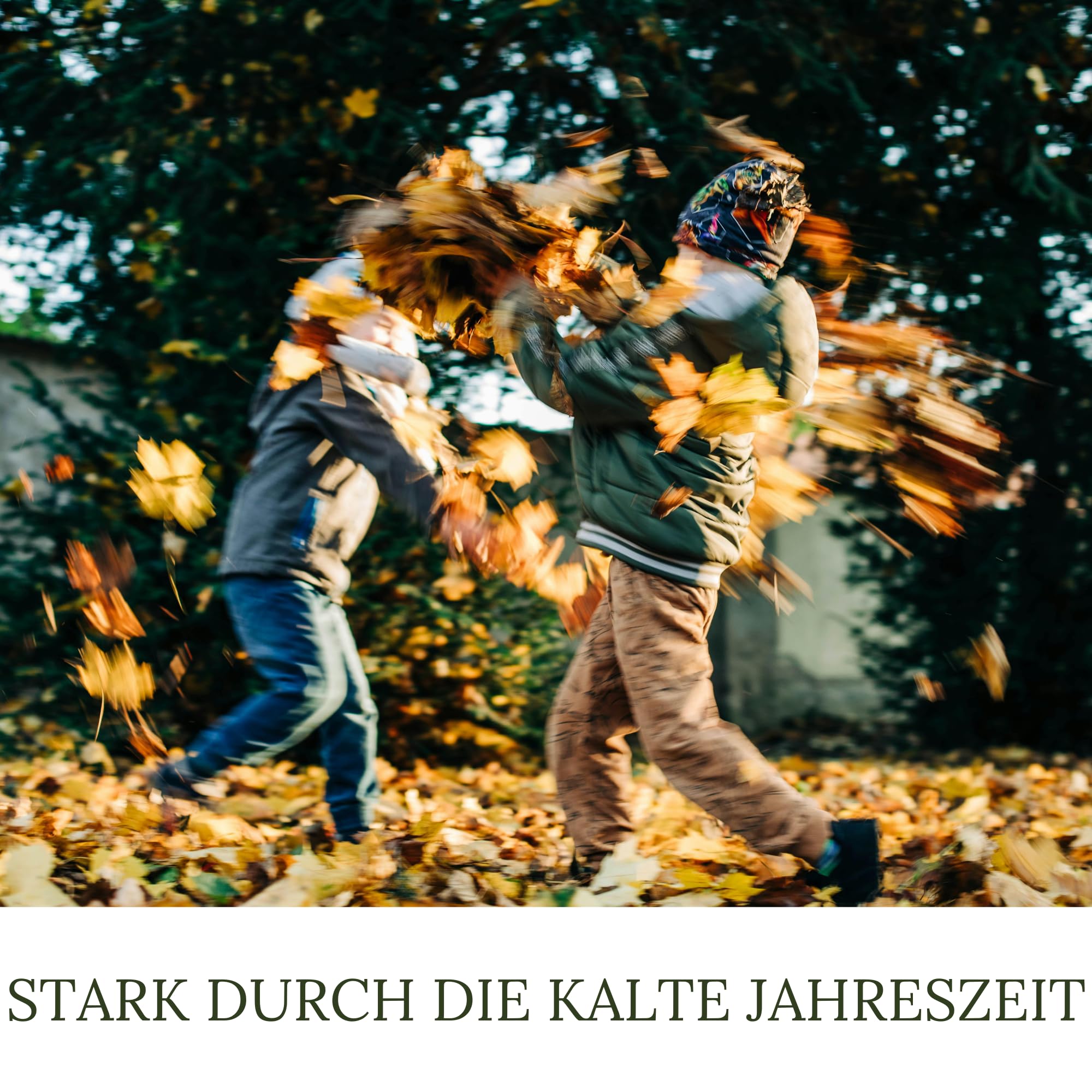 30kg (3 x 10kg) HaGaFe Herbstrasendünger, Herbst - Rasendünger, Dünger, Kaliumdünger für Frosthärte und Standfestigkeit, gut streuwagenfähig, gegen Krankheiten und Schädlinge