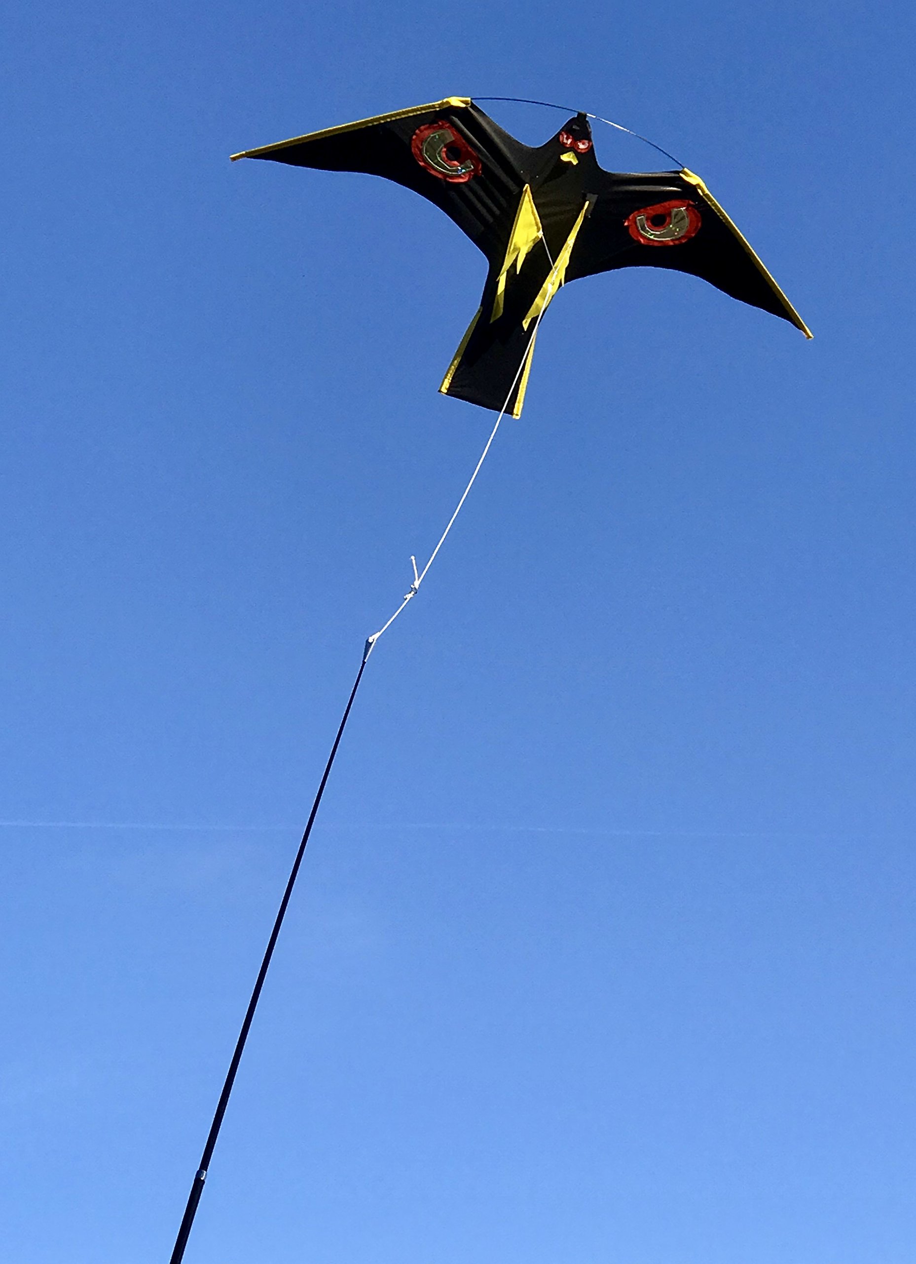 Vogelscheuche Vogelschreck Raubvogel-Drache Habicht Mit 4 Meter - Foto 6