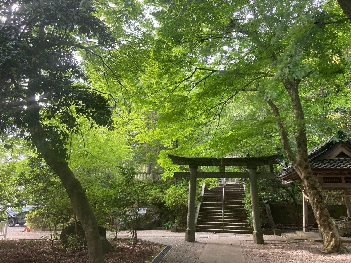 Amazon.co.jp: 日本三大金運神社 金劔宮 心願成就御守 R6315授与品