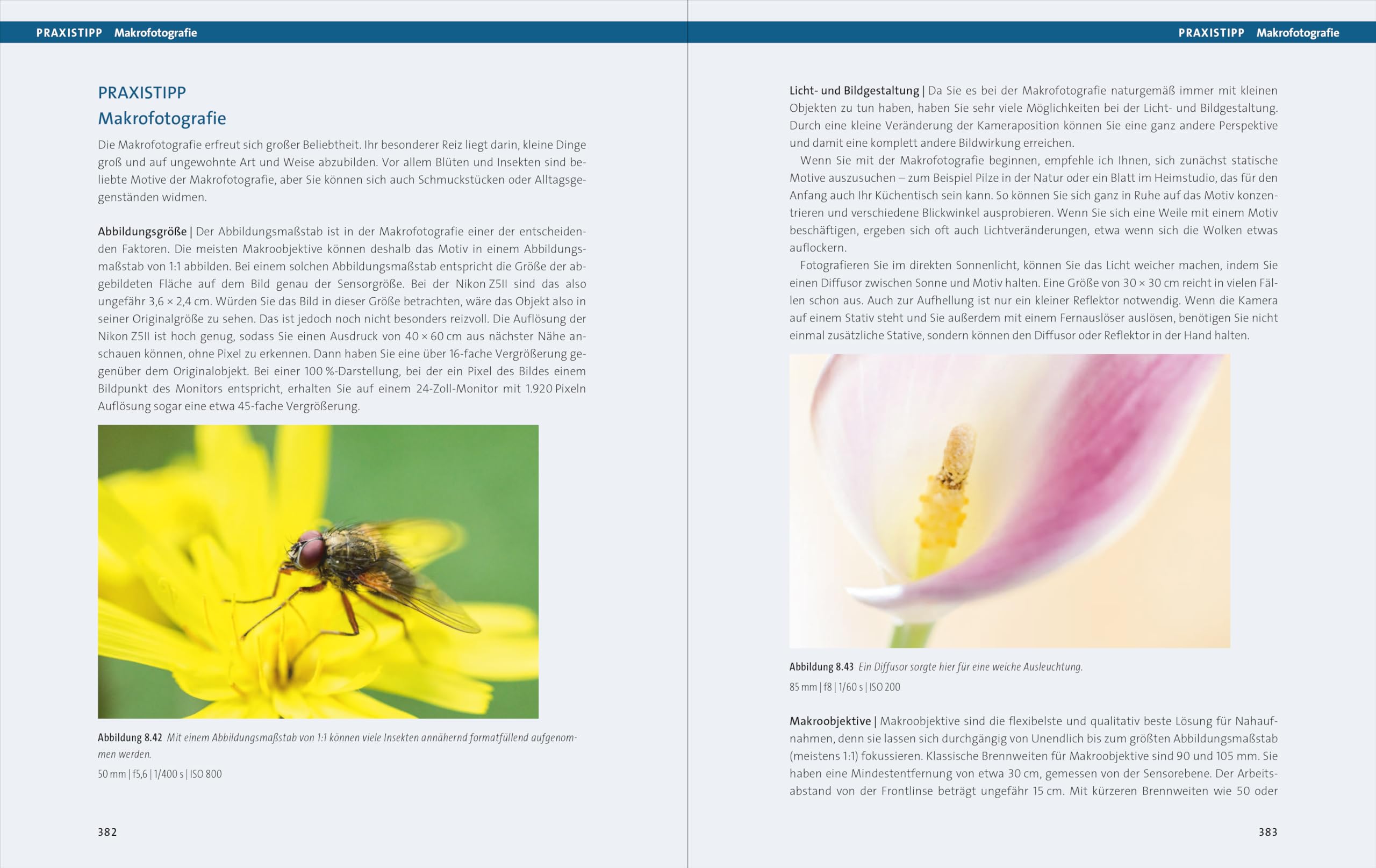 Nikon Z5II: Das Handbuch zur Kamera. Praxiswissen und Expertentipps zu Ihrer Nikon Z5II