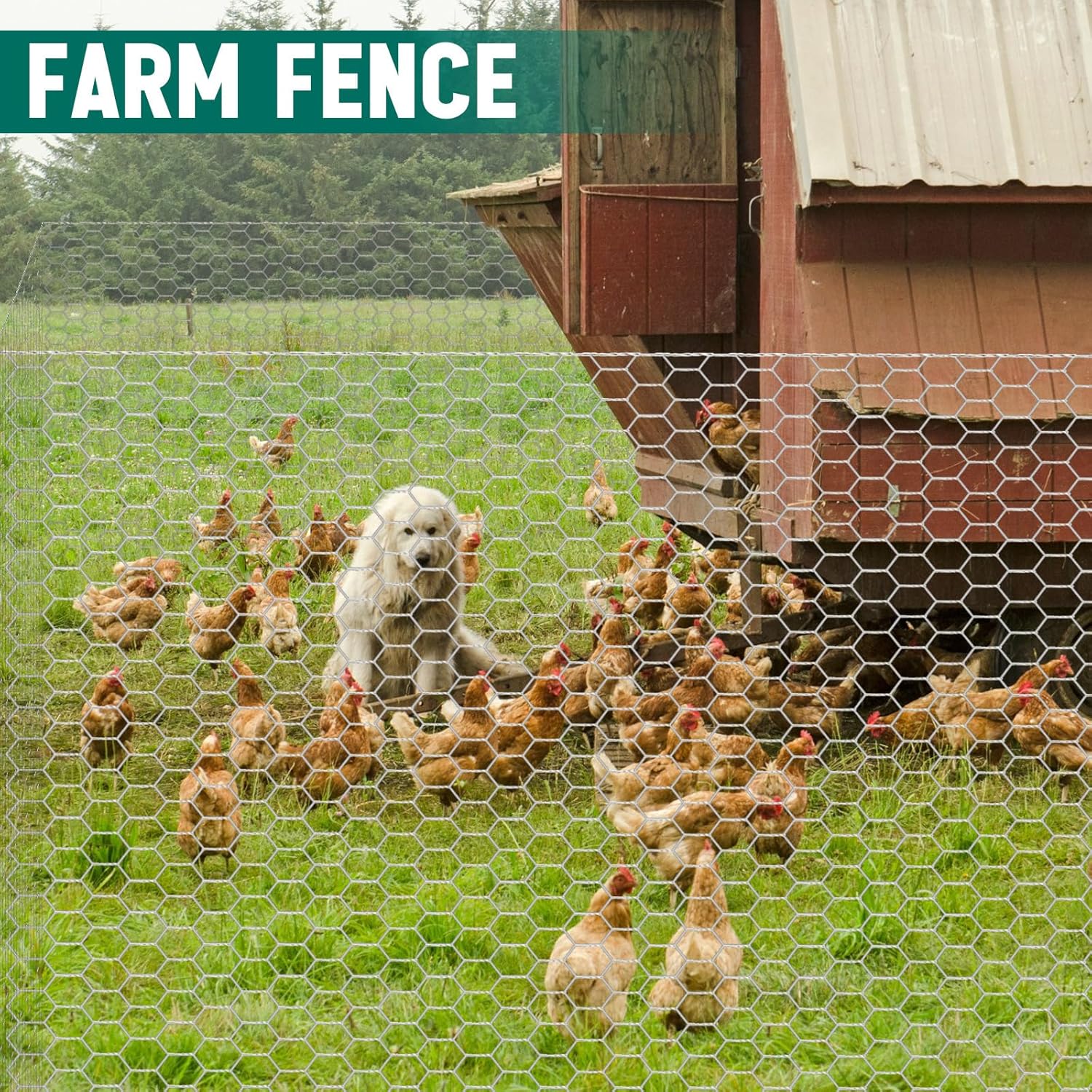 GlikCeil 48 in x 100 ft Chicken Wire Fencing Mesh, Metal Floral Chicken Wire for Floral Arrangements, 0.6 Inch Hexagonal Galvanized Poultry Netting for Garden, Coop Barrier, Duck Rabbit Cage(Silver)