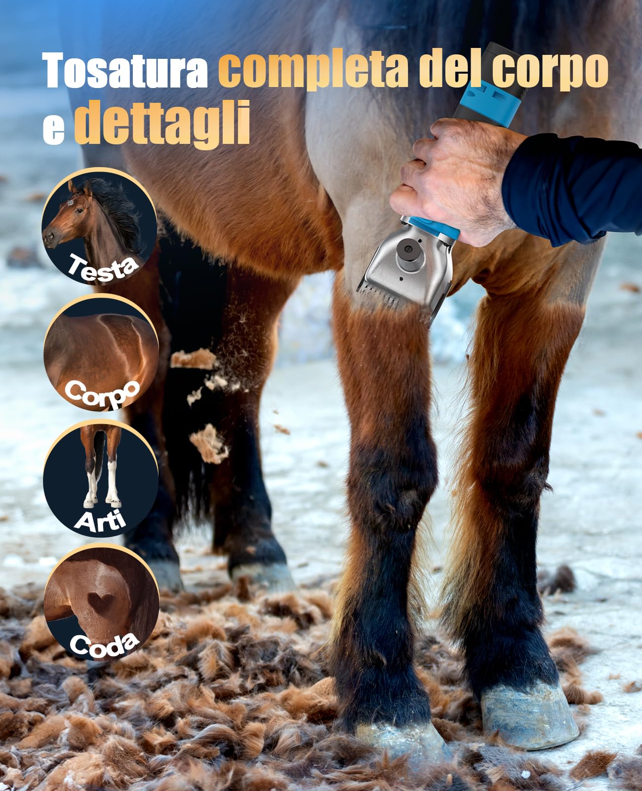 oneisall Tosatrice per cavalli bovini pecore 2 Batterie, Profi Rasoio cavalli per peli spessi e opachi, tosatrice per cavalli a batteria con motore (Blu) (Blu)