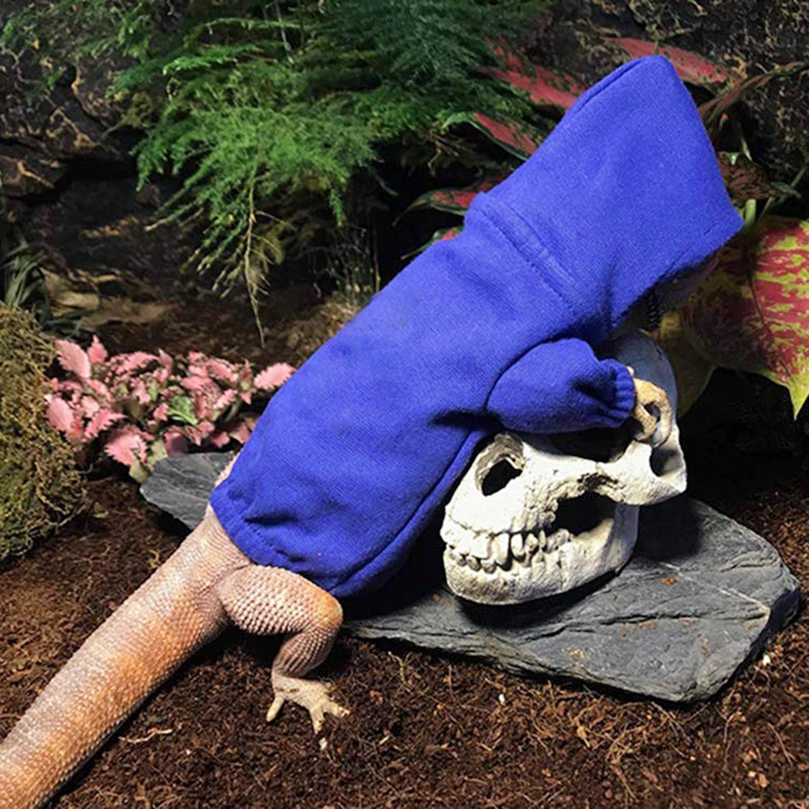 Fulenyi Bartagame-Hoodie,Verstellbarer Baumwoll-Eidechsen-Bartagame-Kapuzenpullover - Kleintierkleidung Tankzubehör Kostü für Hautschutz Fotoparty