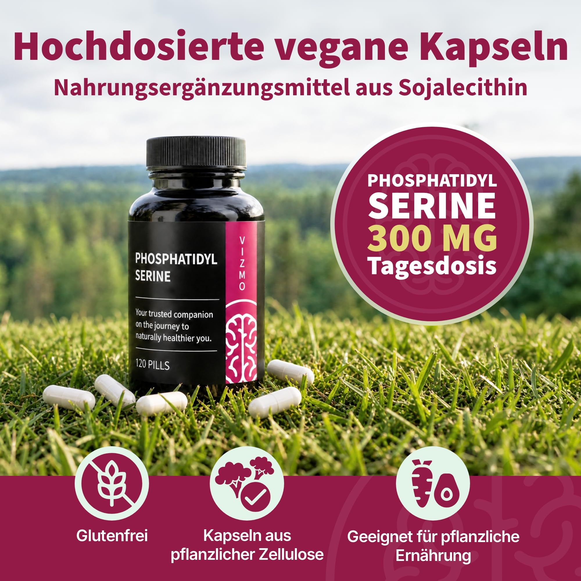 Neuromembran- & Lern-Stack (3-in-1) für Studenten und Berufstätige – Uridinmonophosphat, Phosphatidylserin & Löwenmähne-Extrakt für Gedächtnis,mentale Klarheit,Fokus & tägliche kognitive Leistung